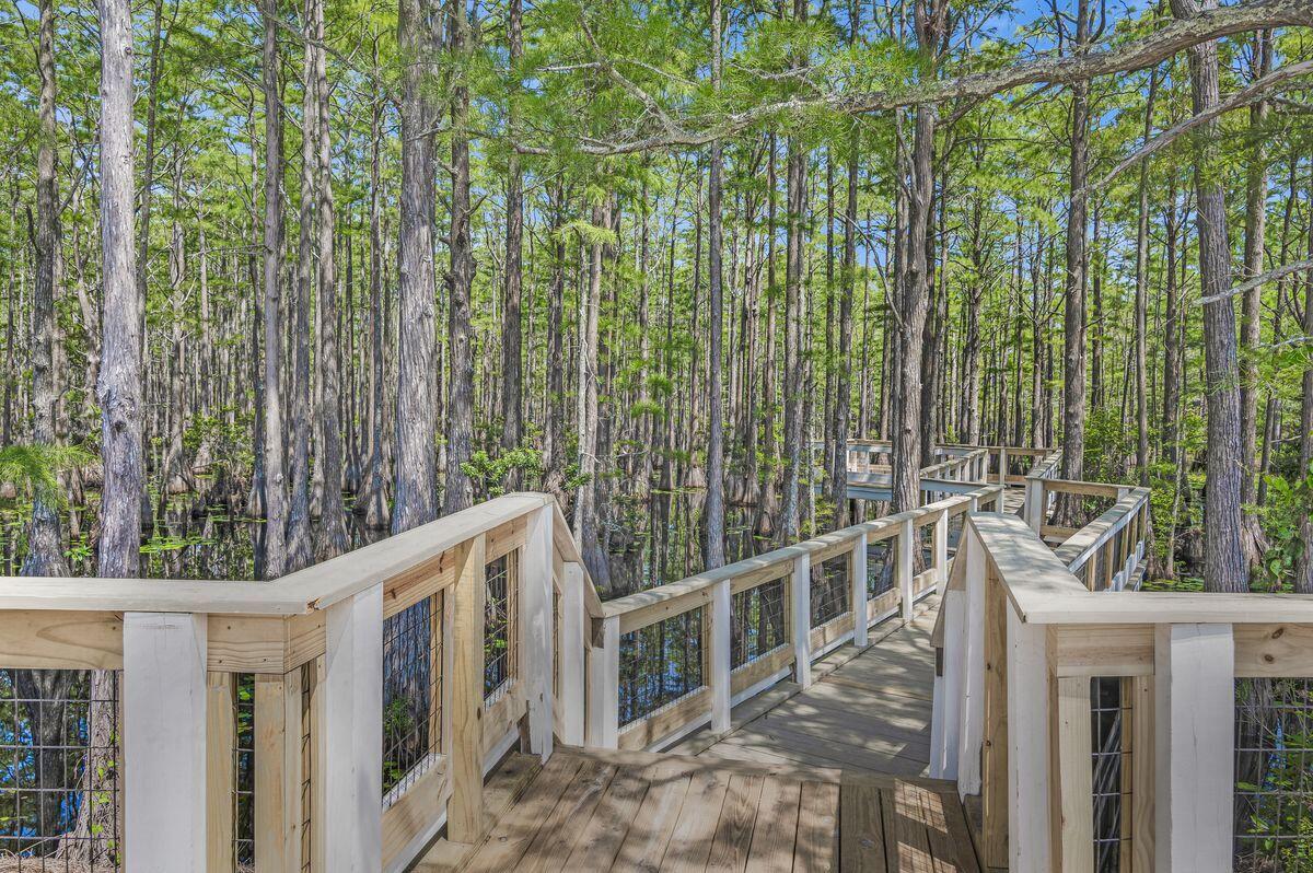 187 Cypress Drive