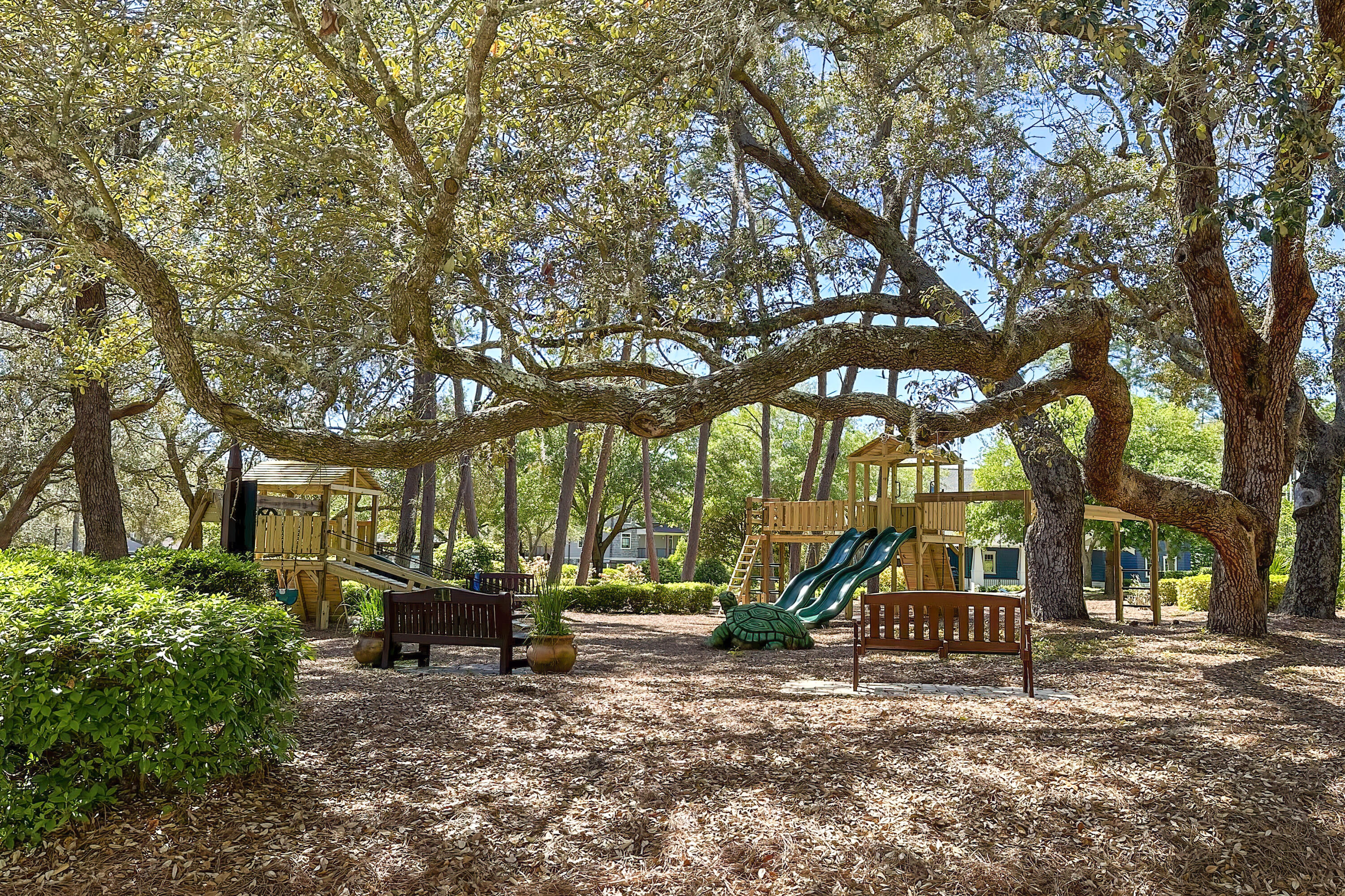 1622 Lost Cove Lane