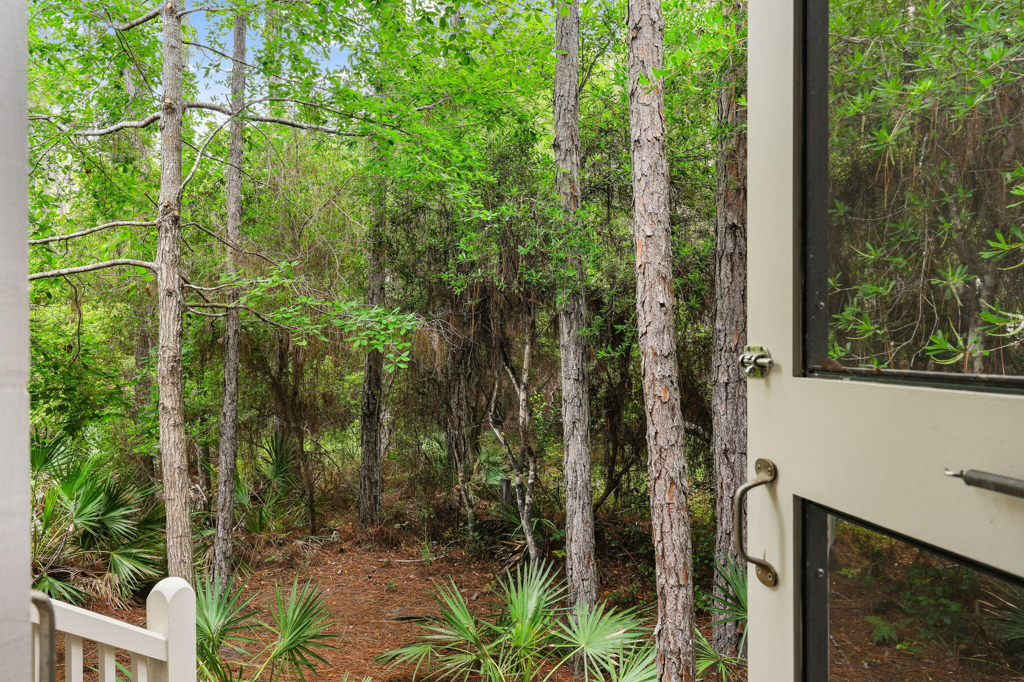 86 Thicket Circle