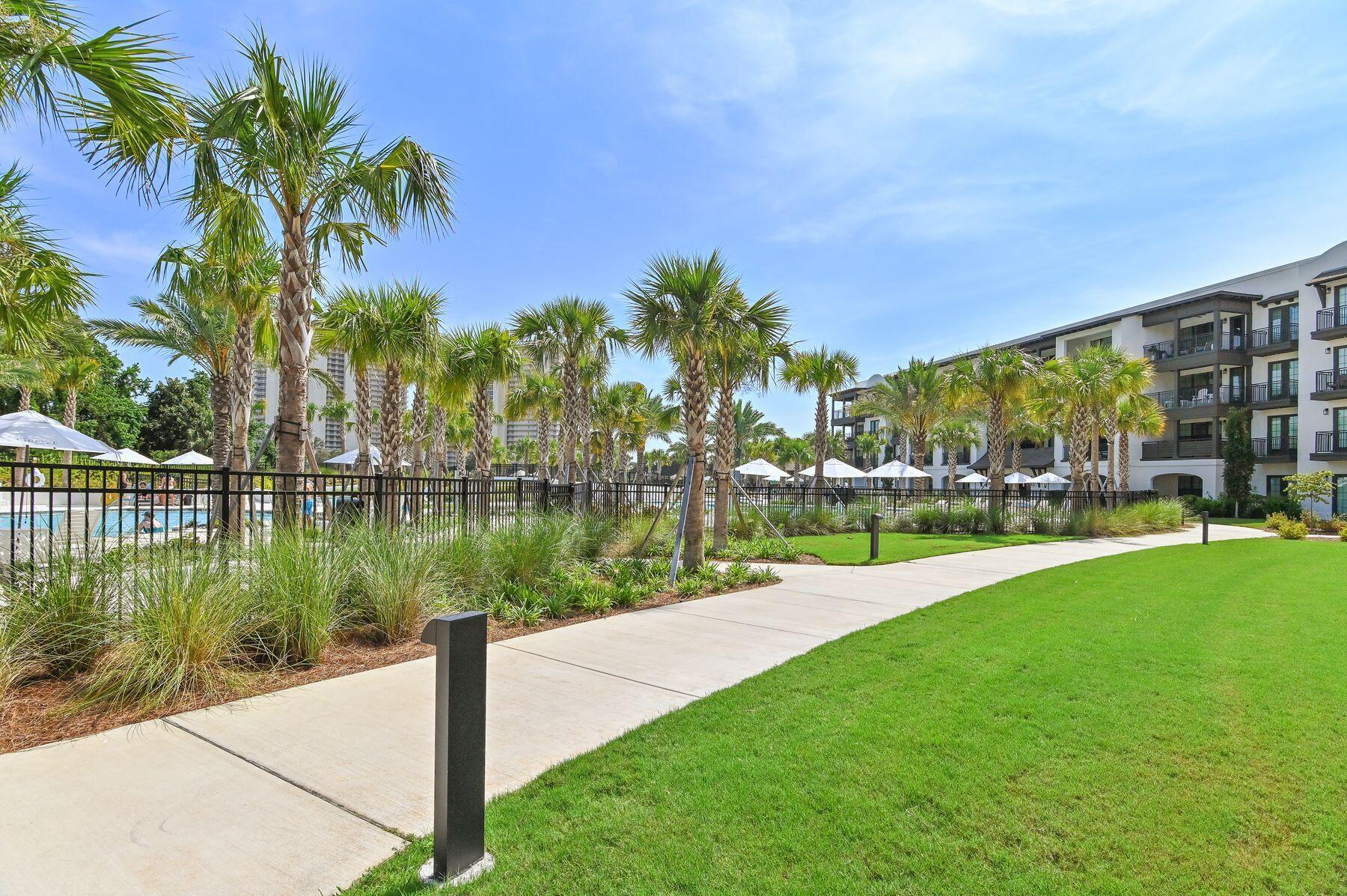 319 The Grove Drive 241