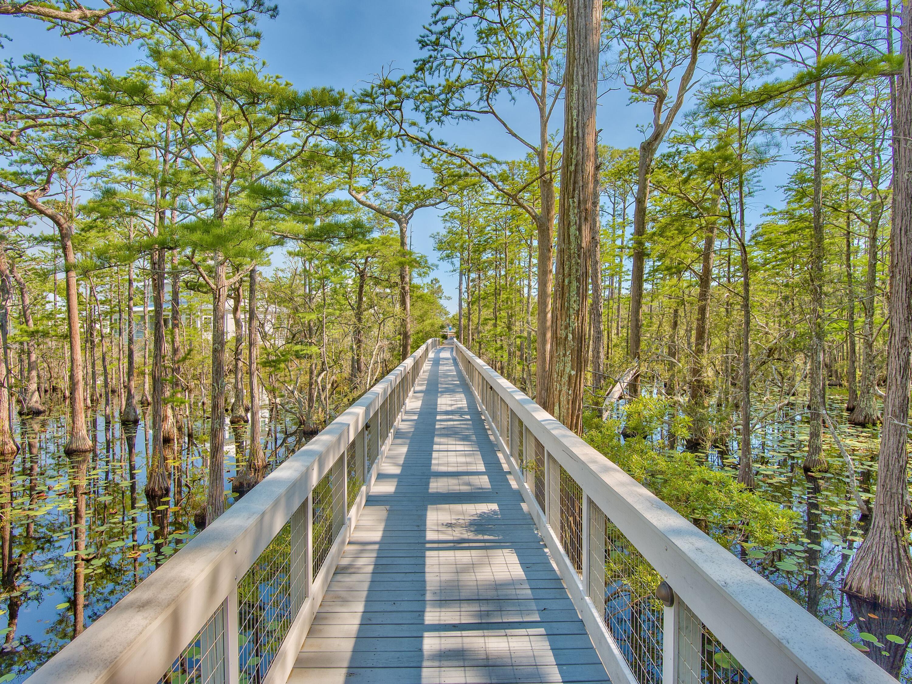 Lot 16 Cypress Drive