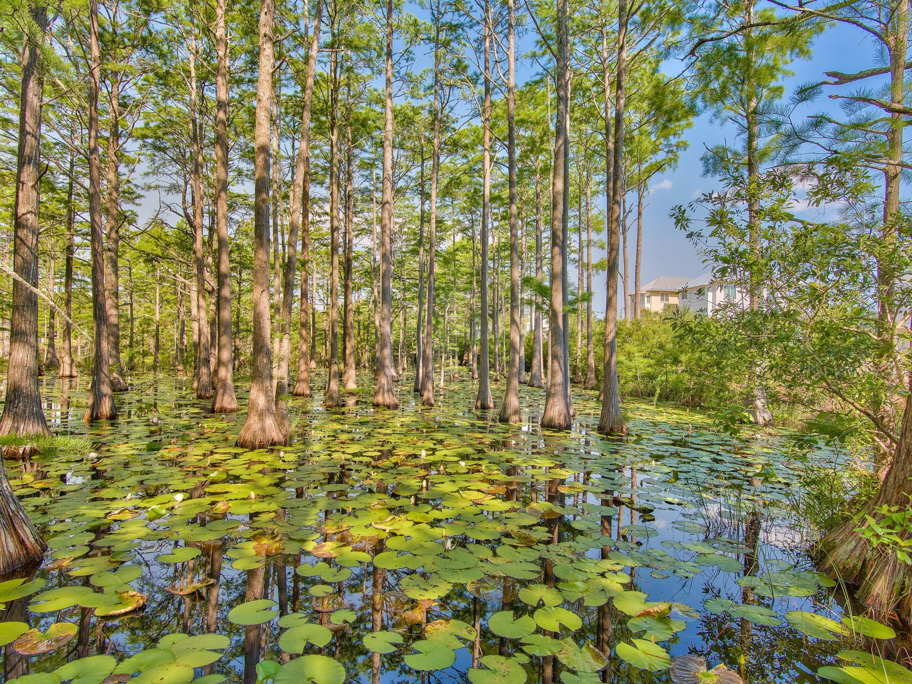 Lot 16 Cypress Drive