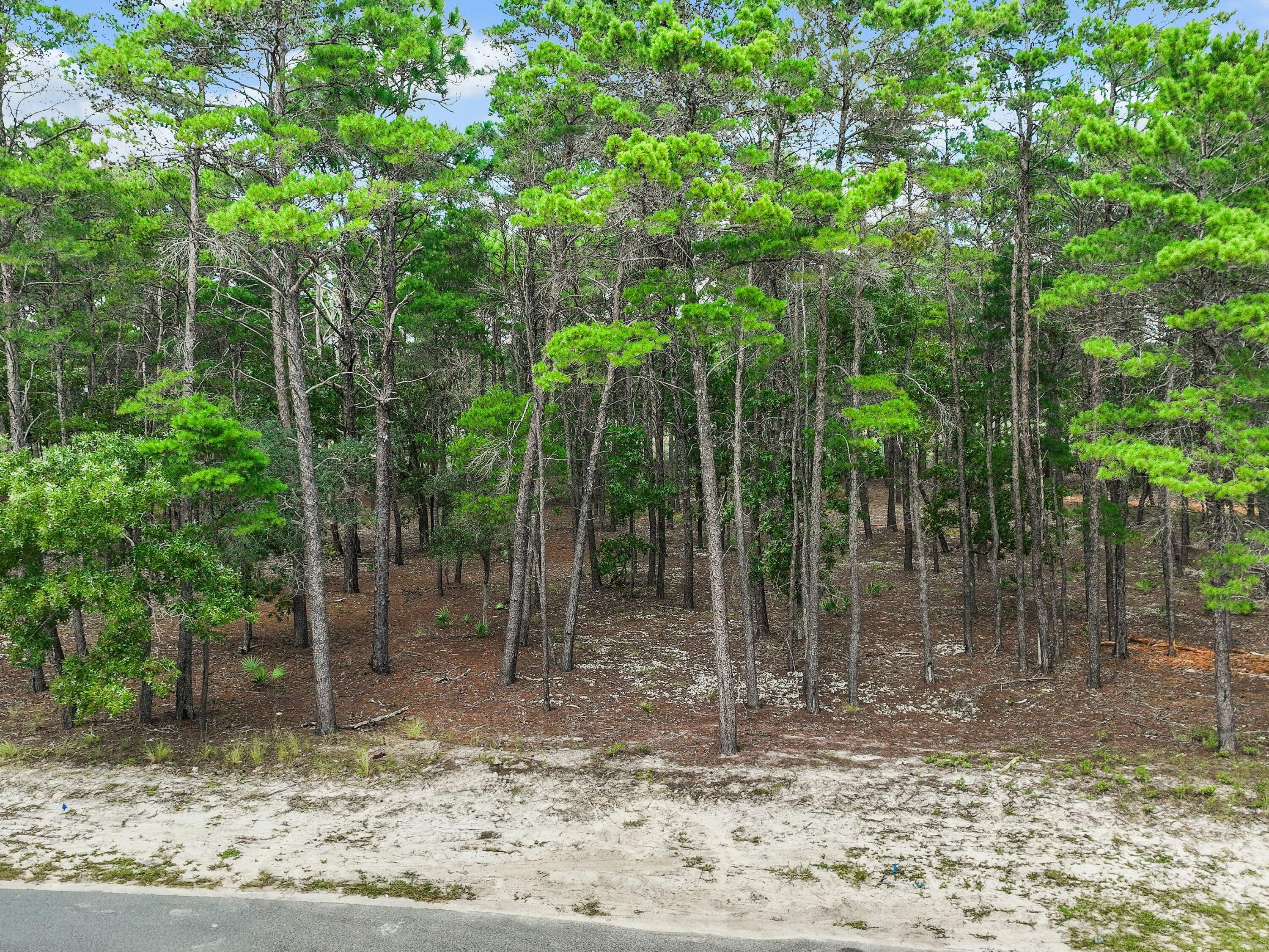 1804 Lost Cove Court