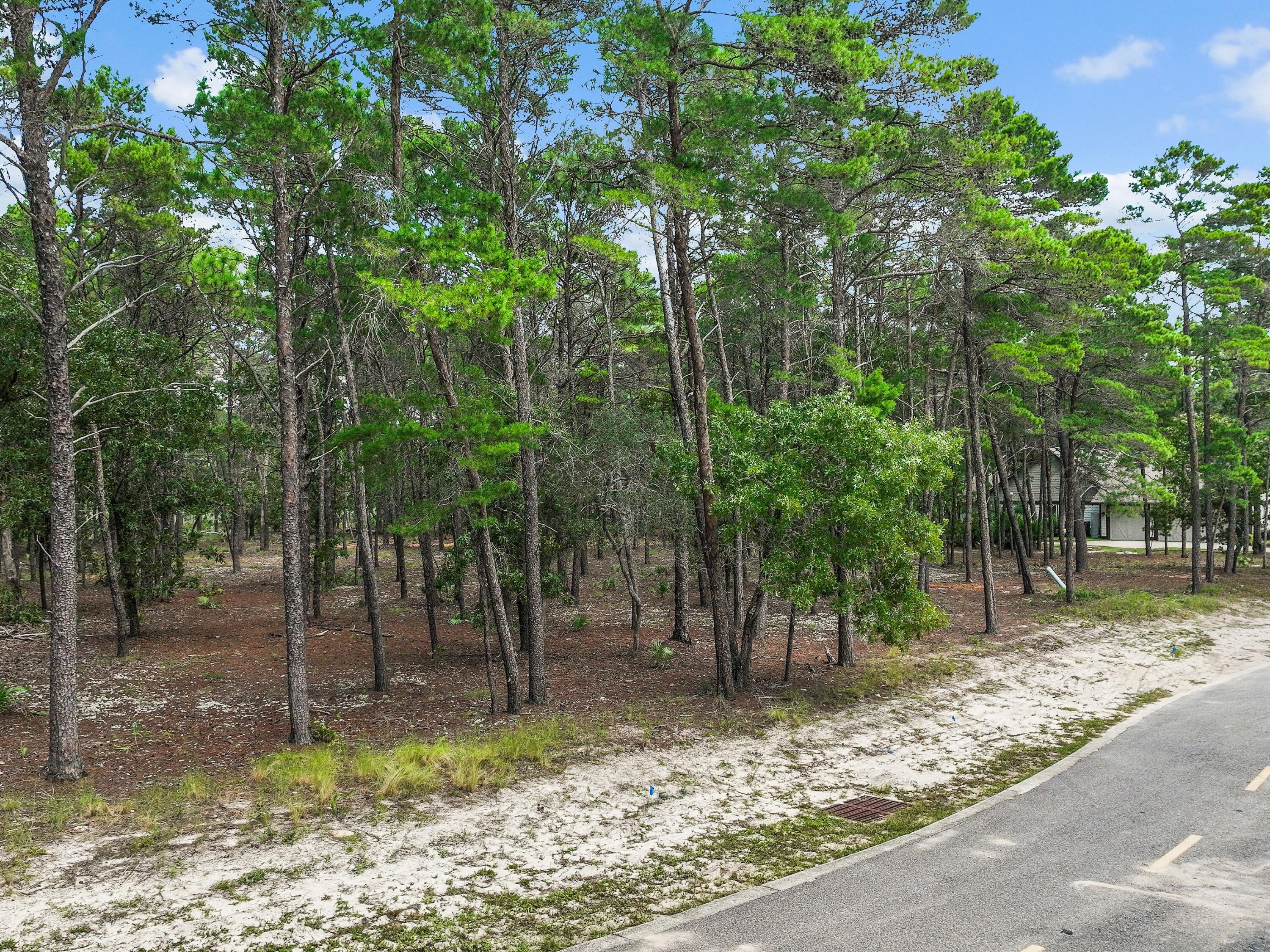 1804 Lost Cove Court