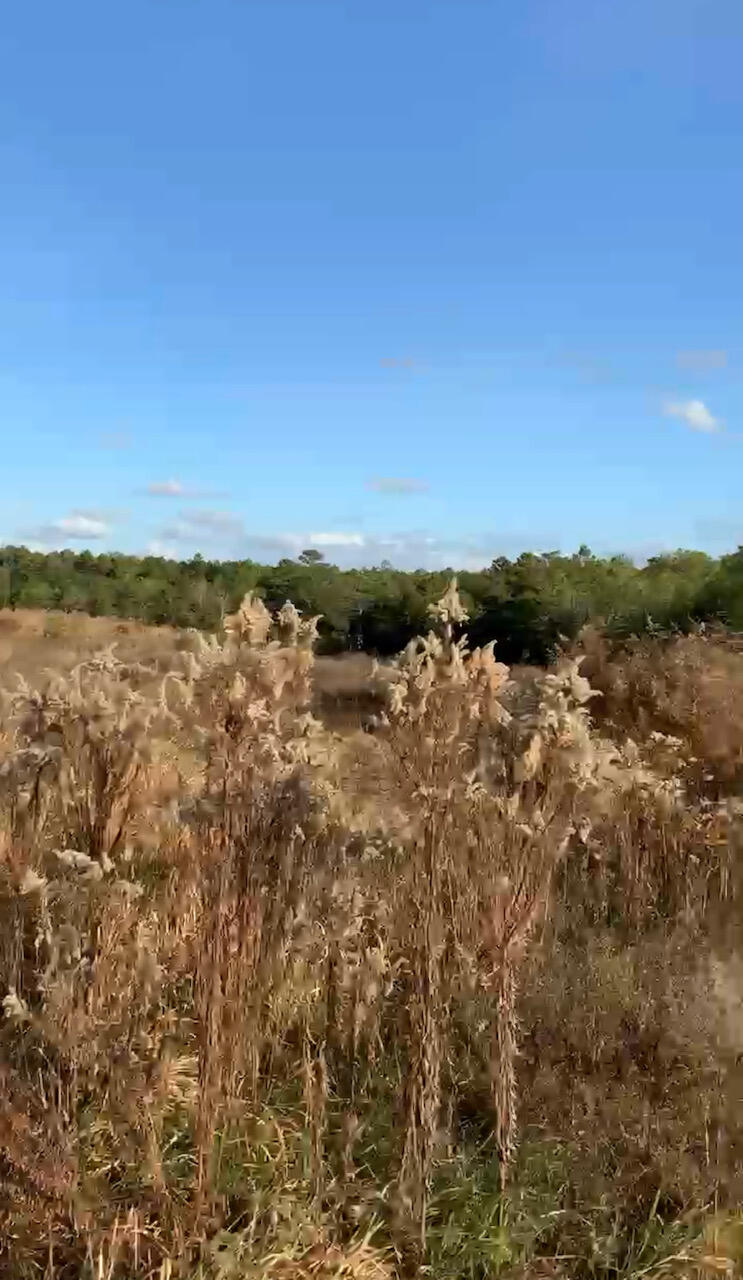 25acres W State Highway 20