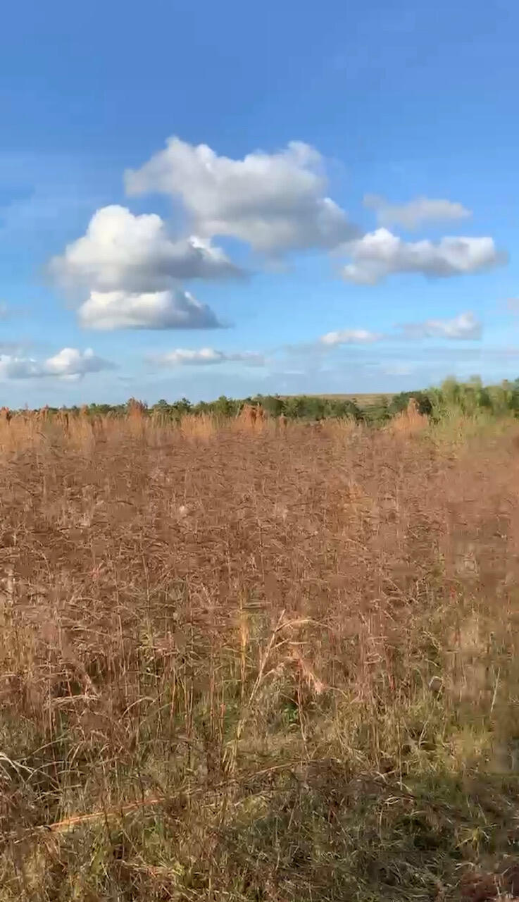 25acres W State Highway 20