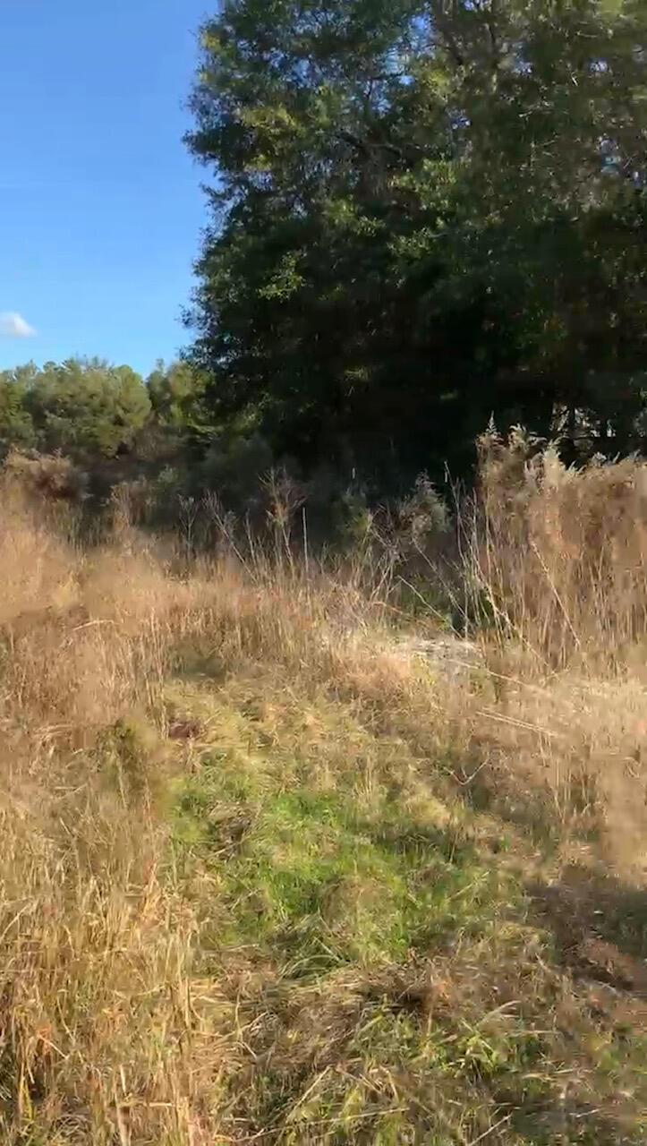 25acres W State Highway 20
