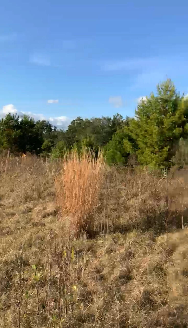 25acres W State Highway 20