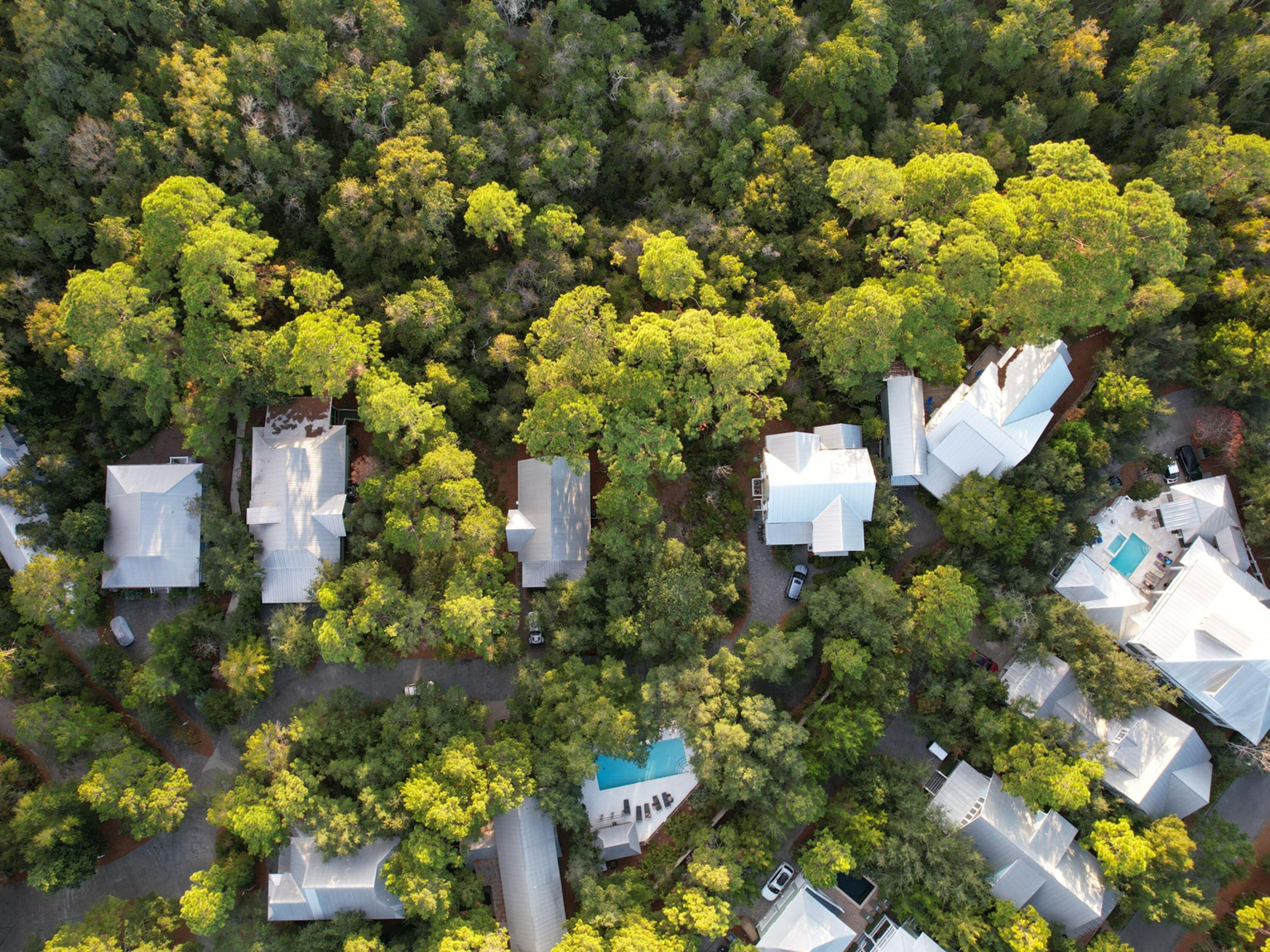 Lot 36 Hammock Lane