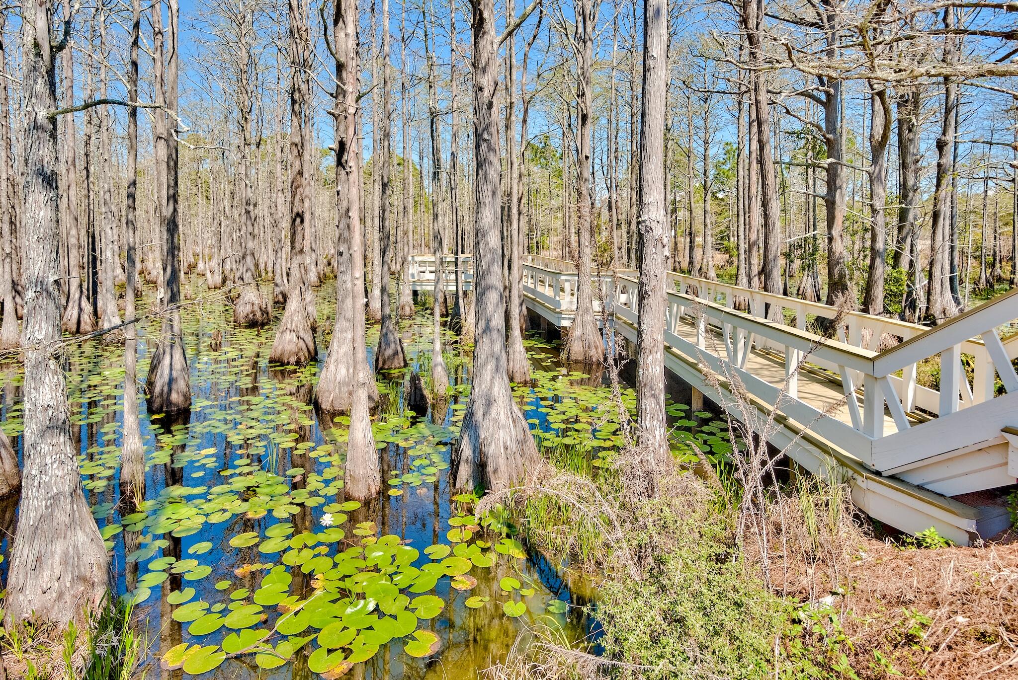 Lot 20/161 Cypress Drive