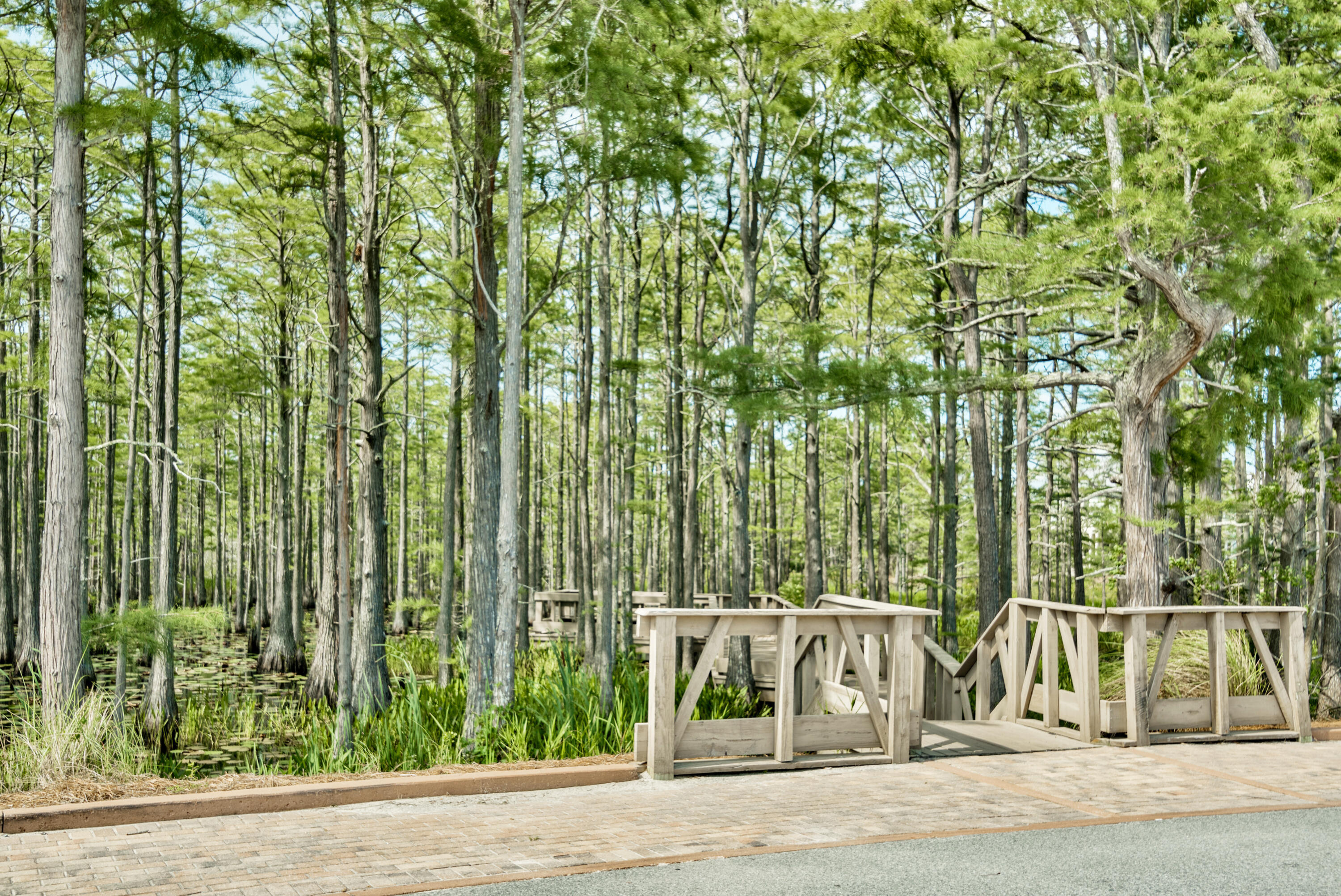 Lot 20/161 Cypress Drive