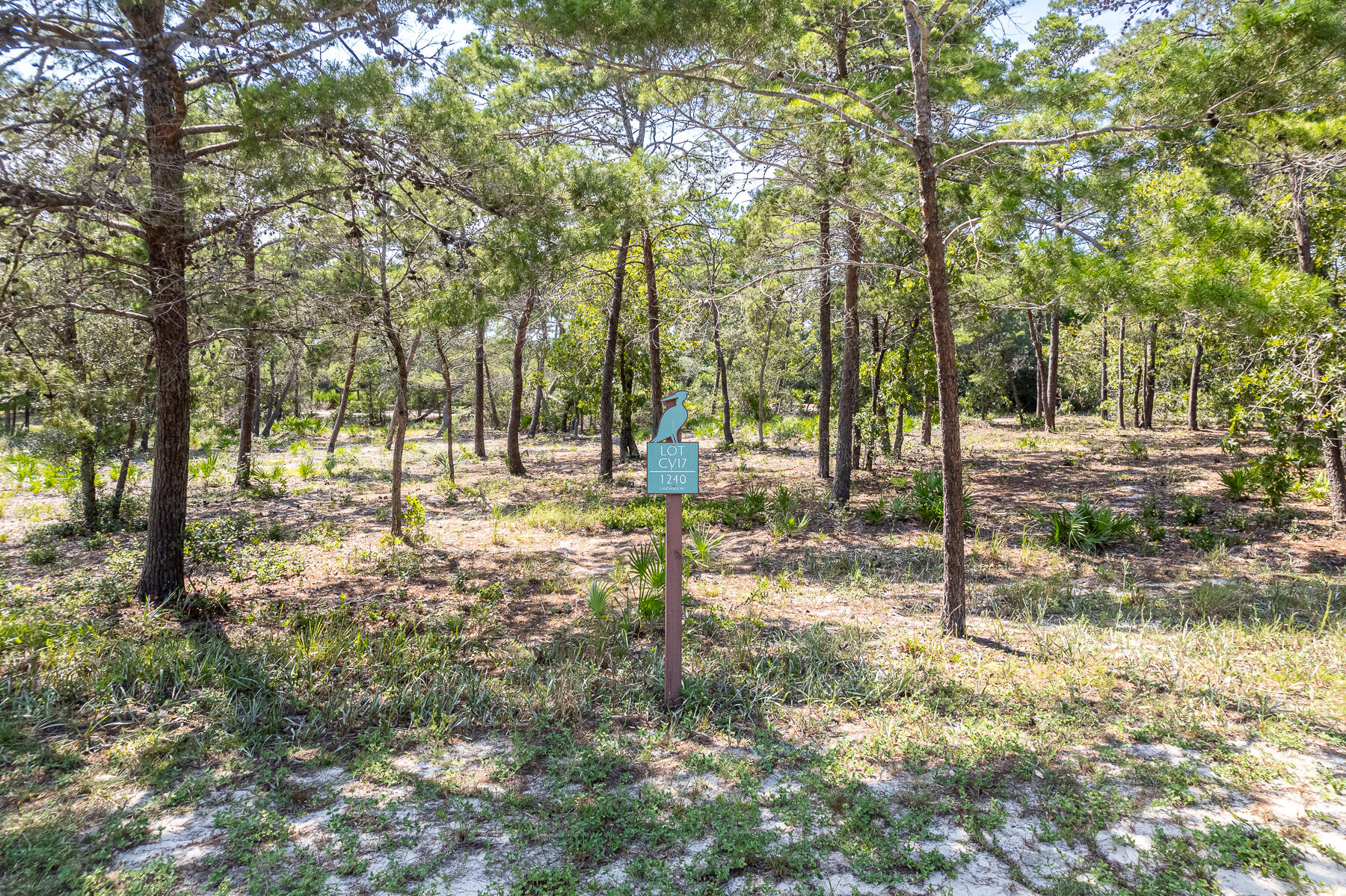 1240 W Lakewalk Circle