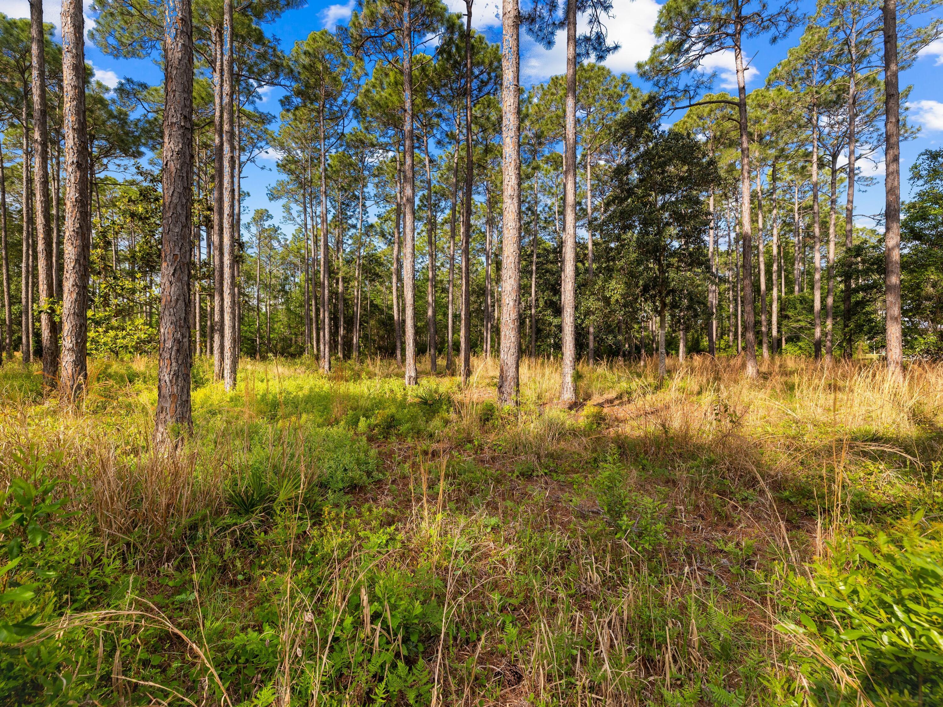 7535 Morning Marsh Trail