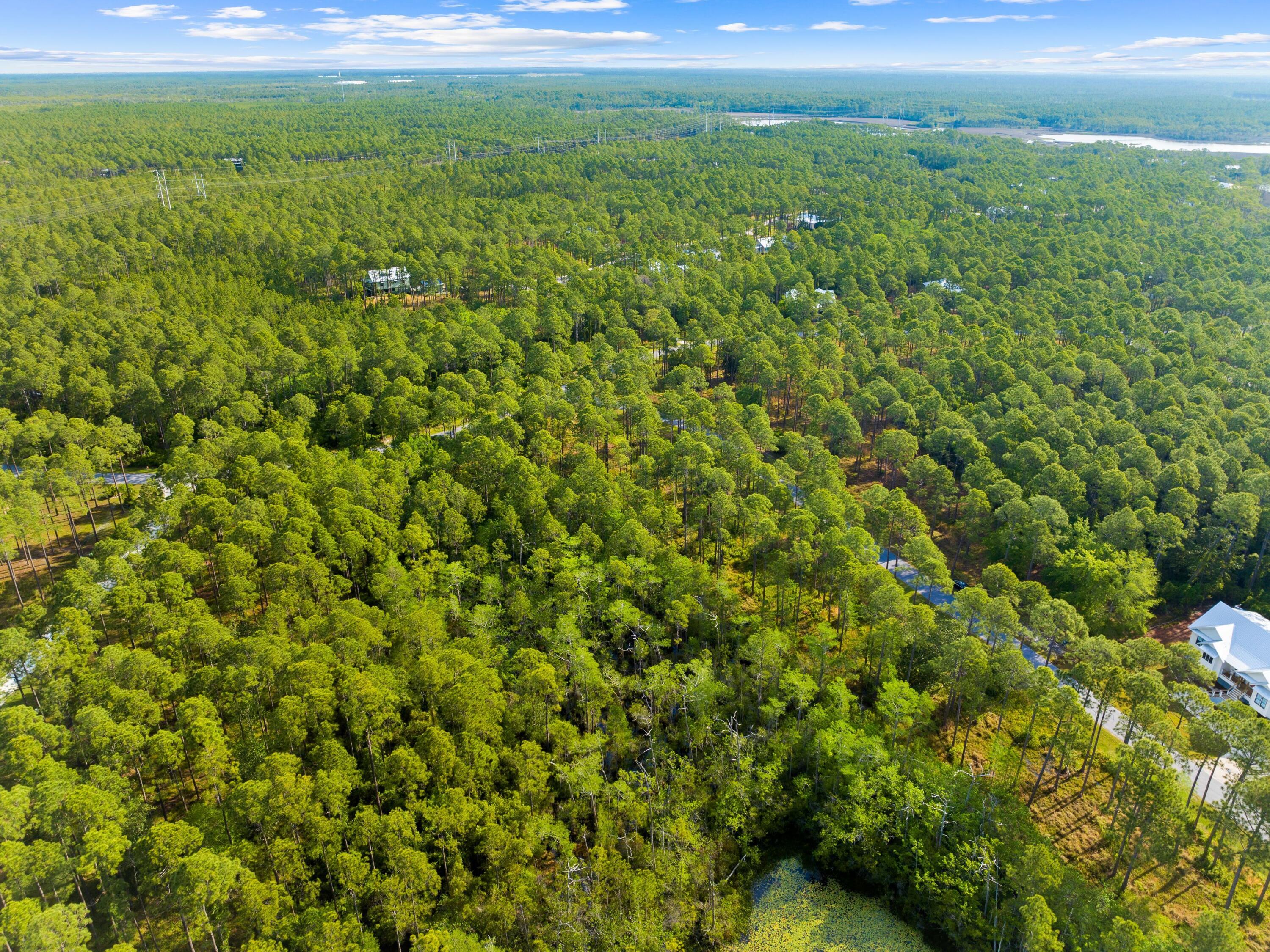 7535 Morning Marsh Trail