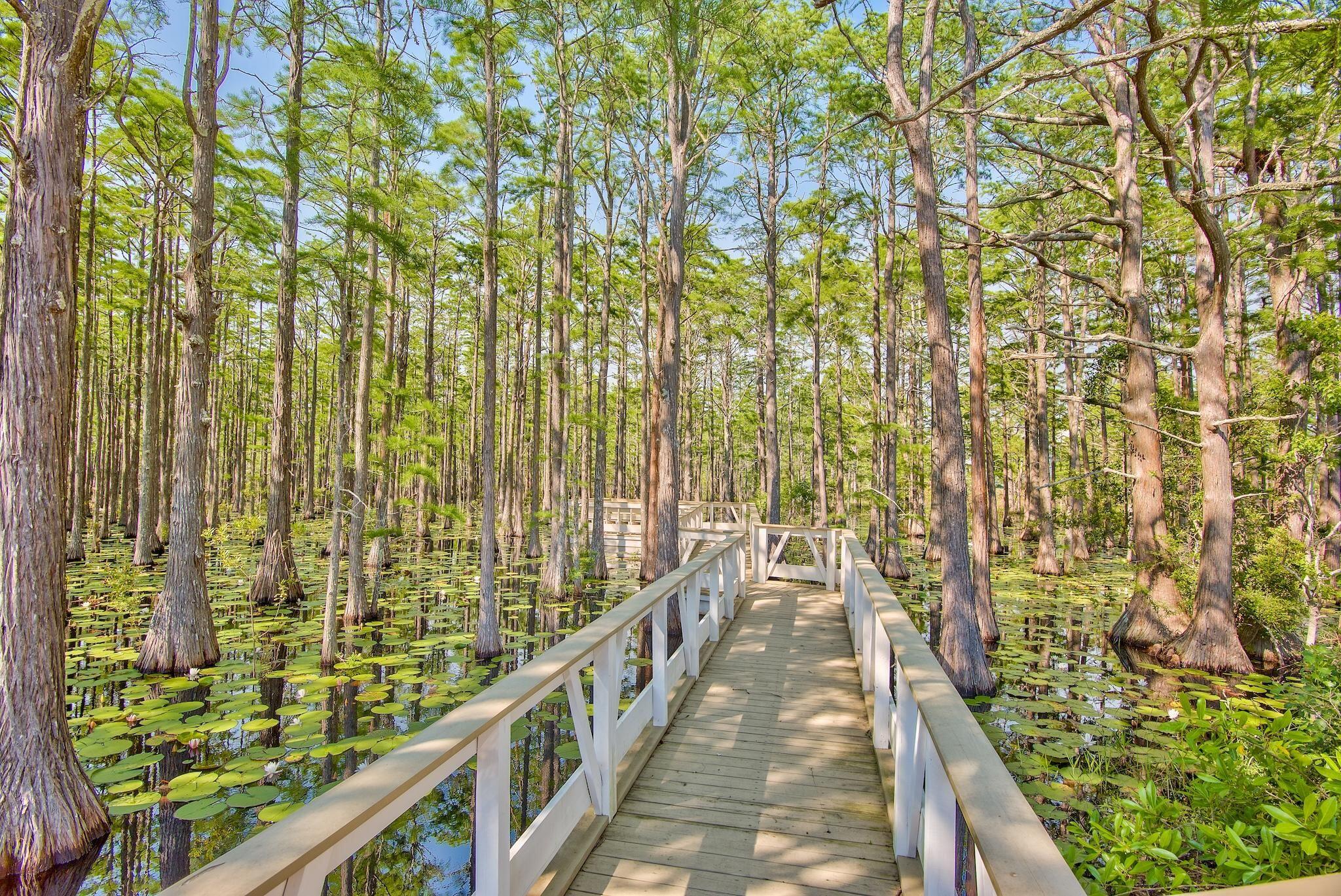 130 Cypress Walk