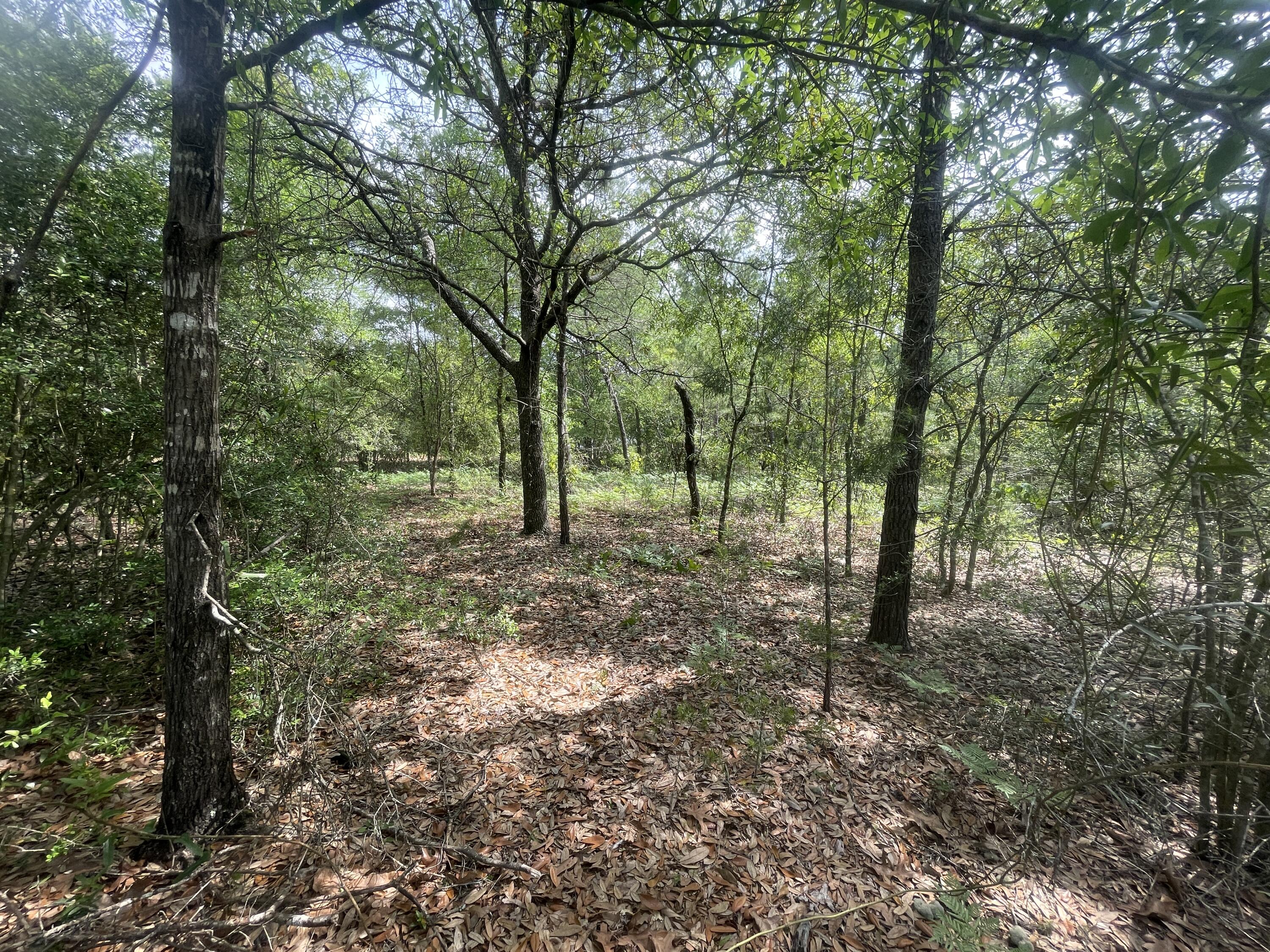 Lots 11/12 Passion Flower Street, DeFuniak Springs