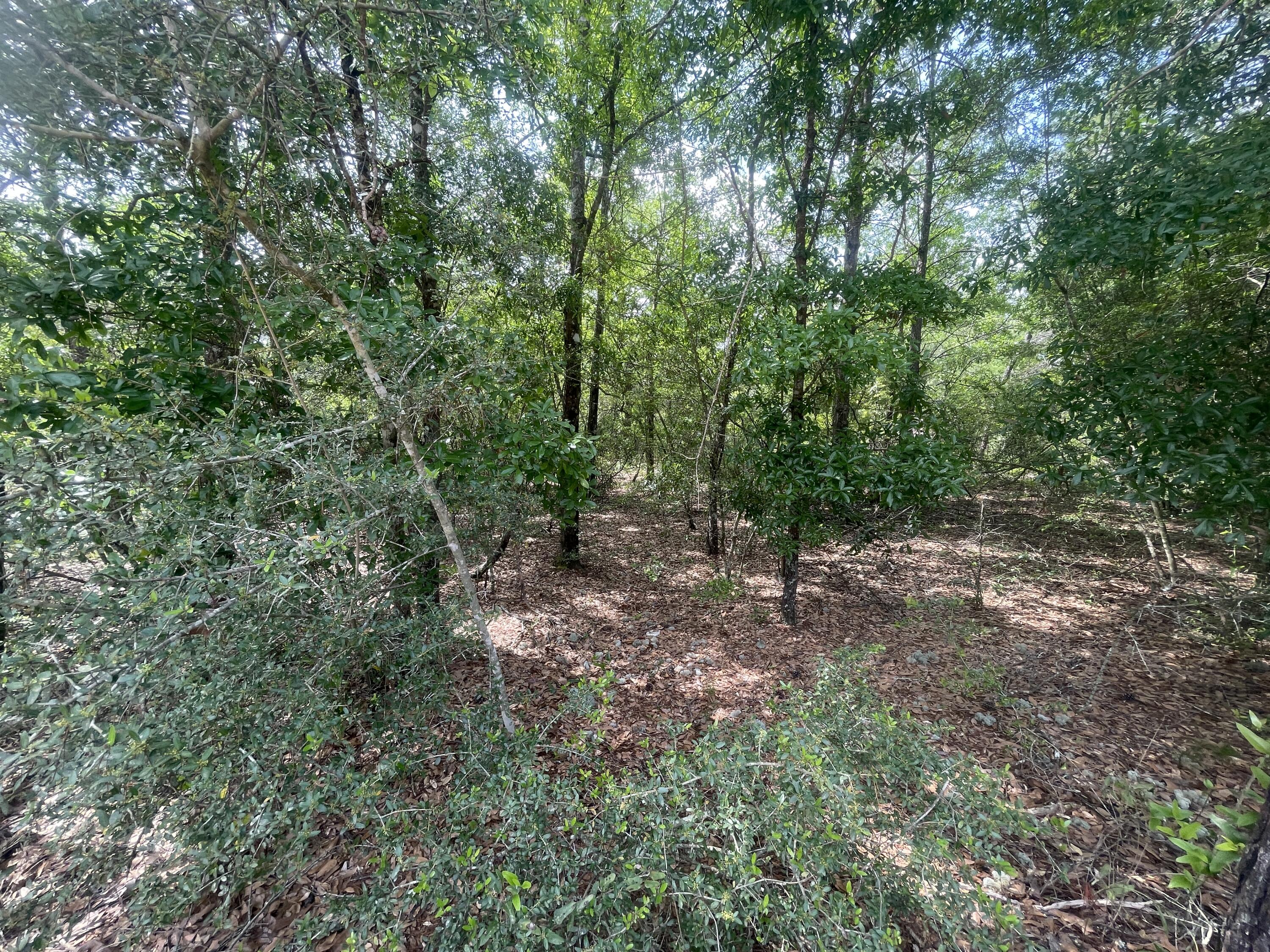 Lots 11/12 Passion Flower Street, DeFuniak Springs