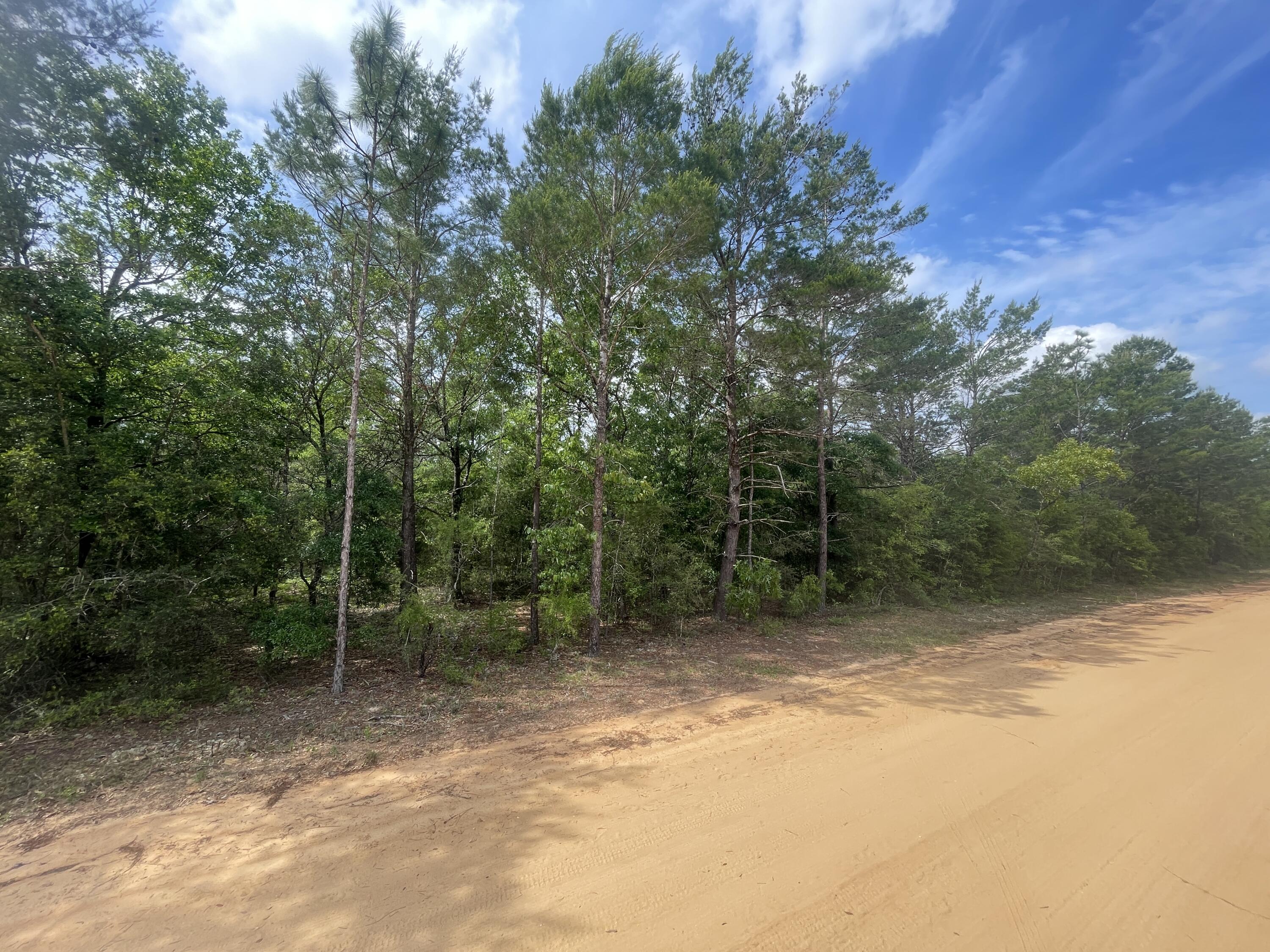 Lots 11/12 Passion Flower Street, DeFuniak Springs