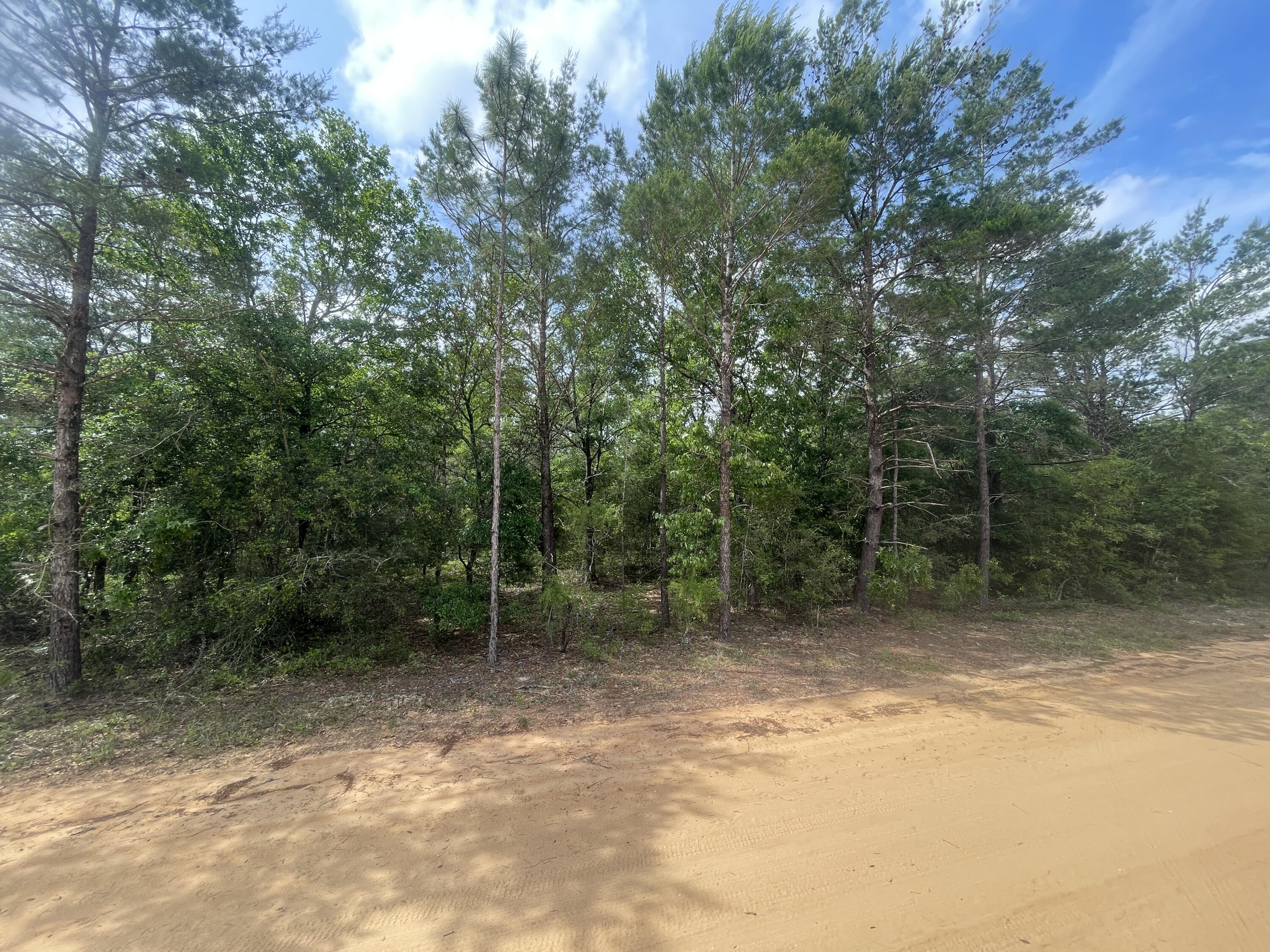 Lots 11/12 Passion Flower Street, DeFuniak Springs