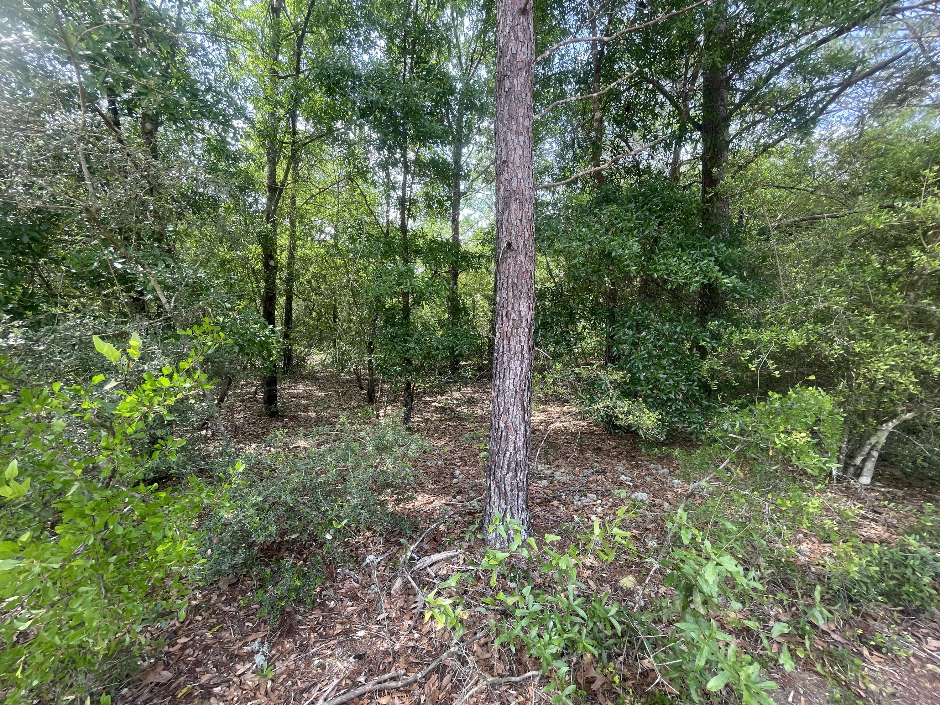 Lots 11/12 Passion Flower Street, DeFuniak Springs
