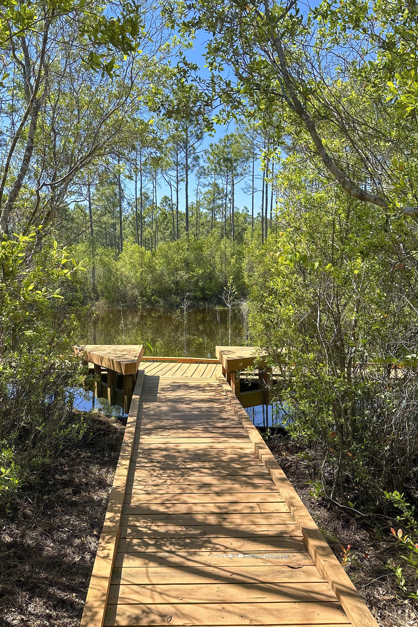 1614 Lost Cove Lane