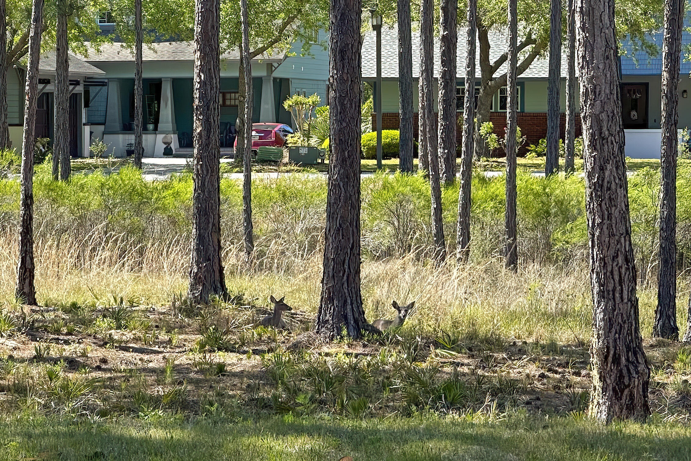 1614 Lost Cove Lane