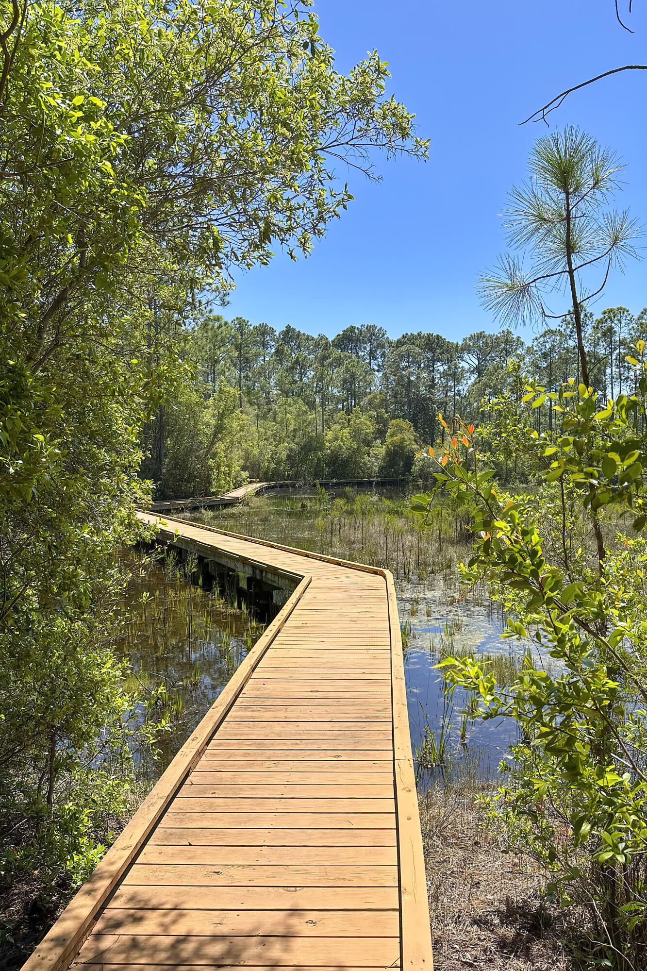 1614 Lost Cove Lane