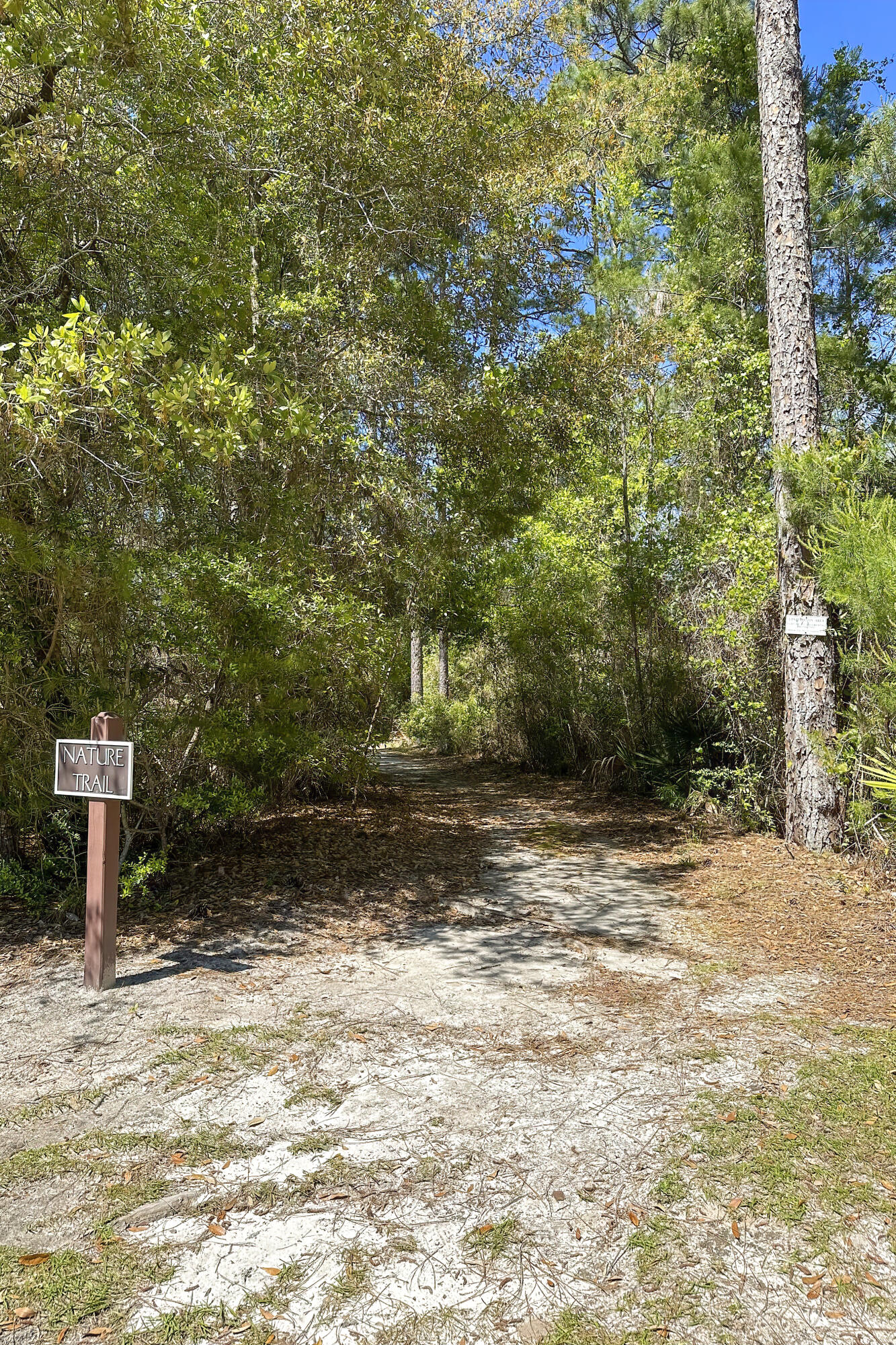 1614 Lost Cove Lane