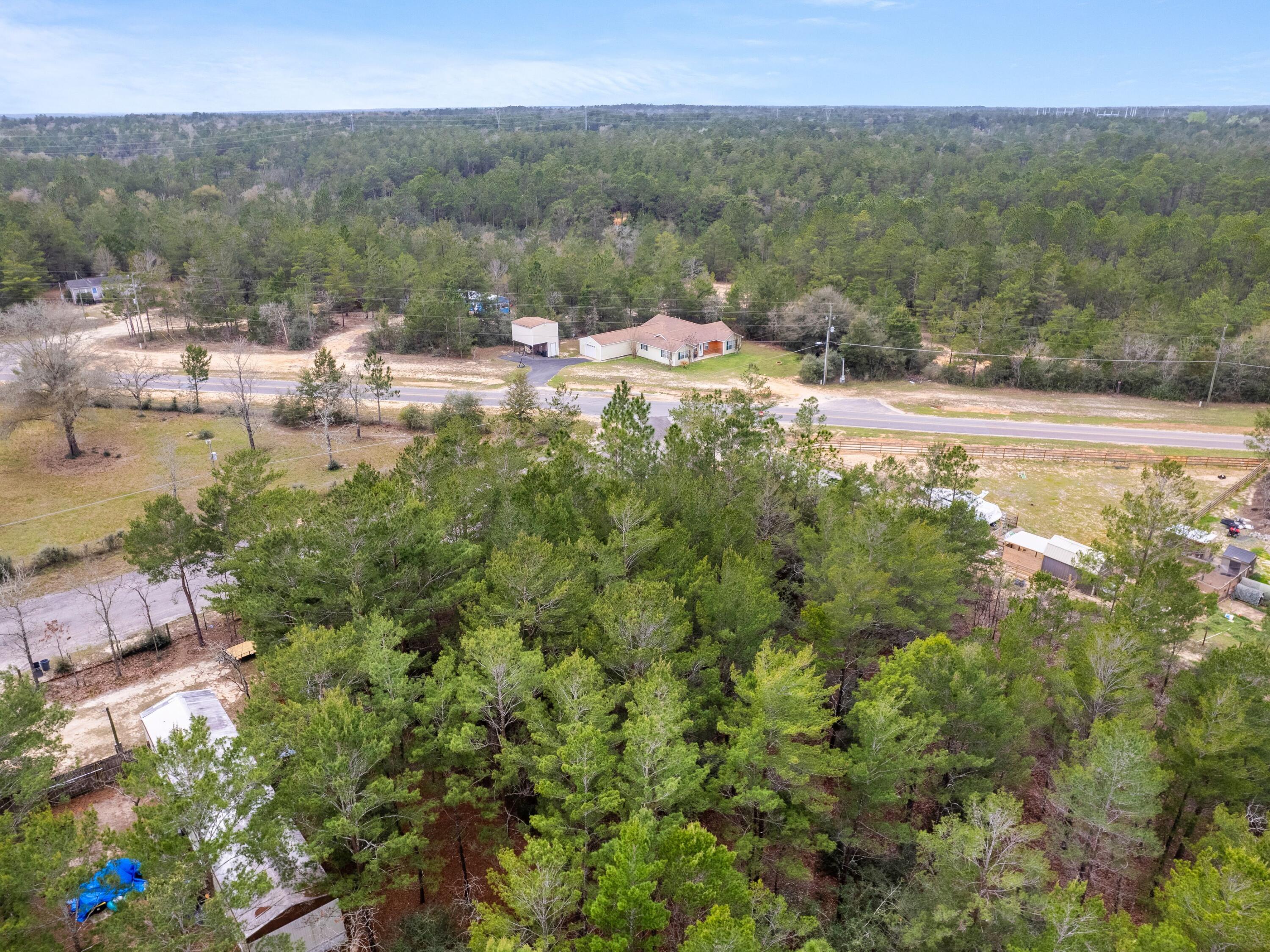 Lot 4 E Tiger Lily Lane, DeFuniak Springs