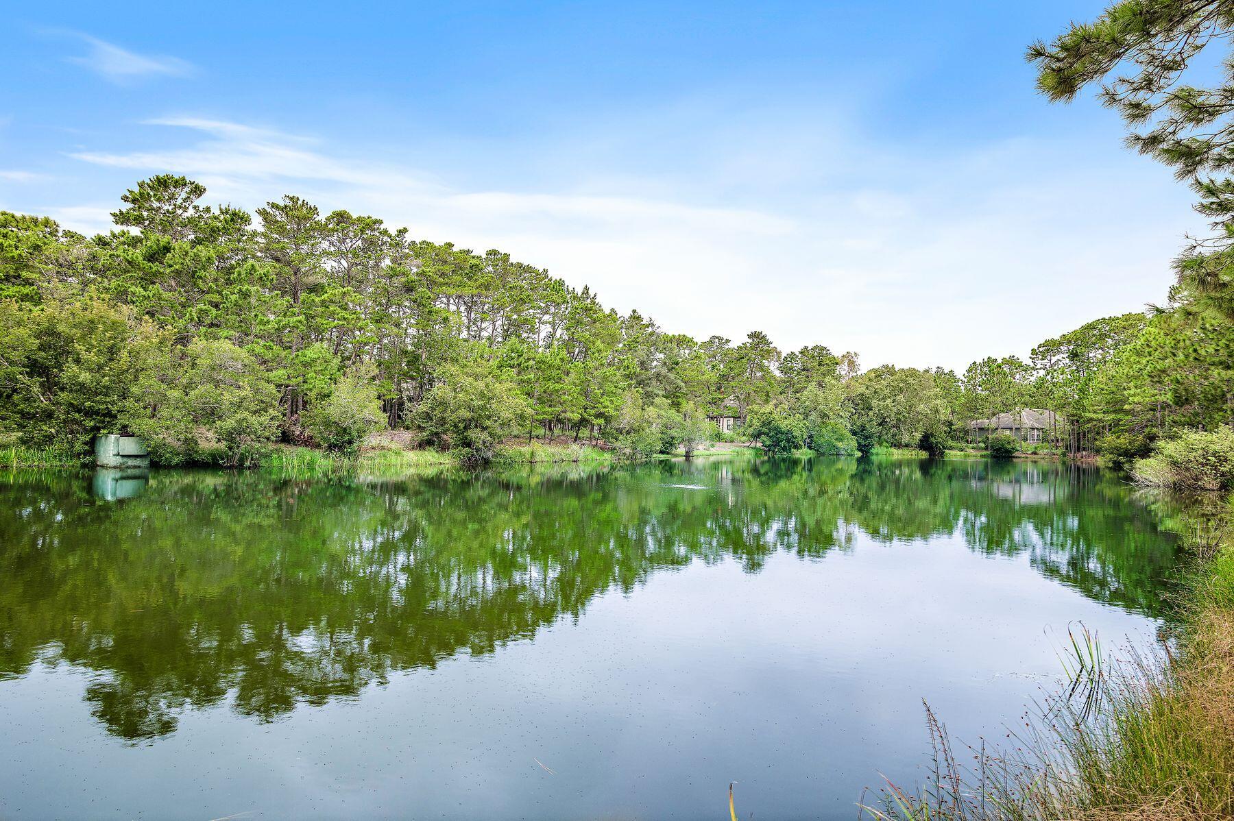 1604 Lost Cove Lane