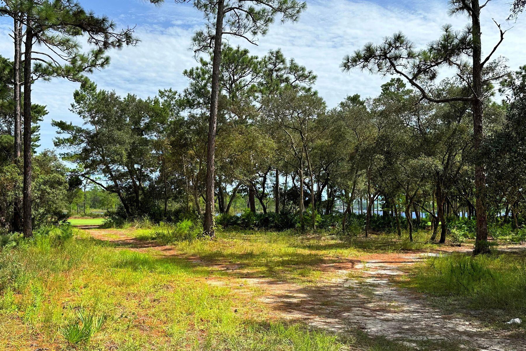 1406 Turtleback Trail