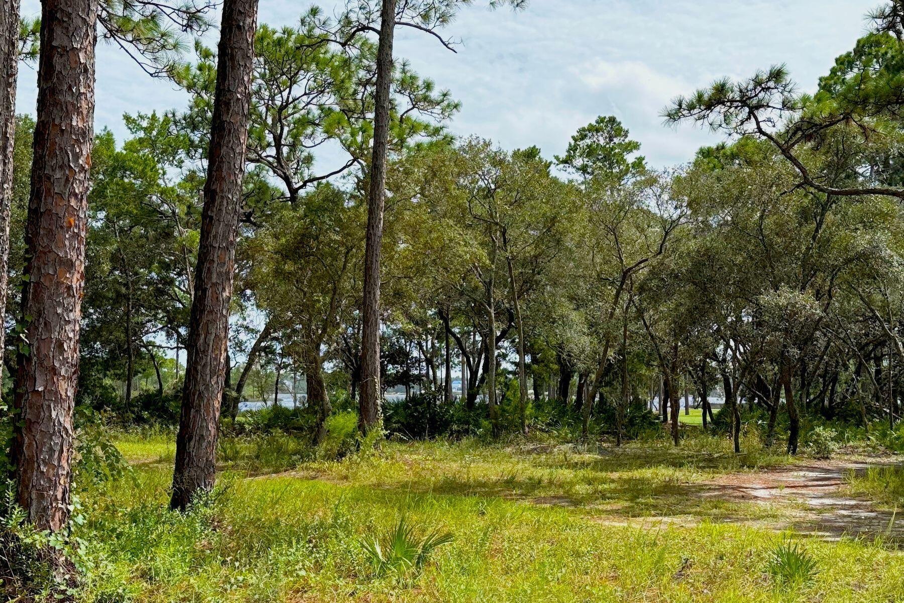 1406 Turtleback Trail