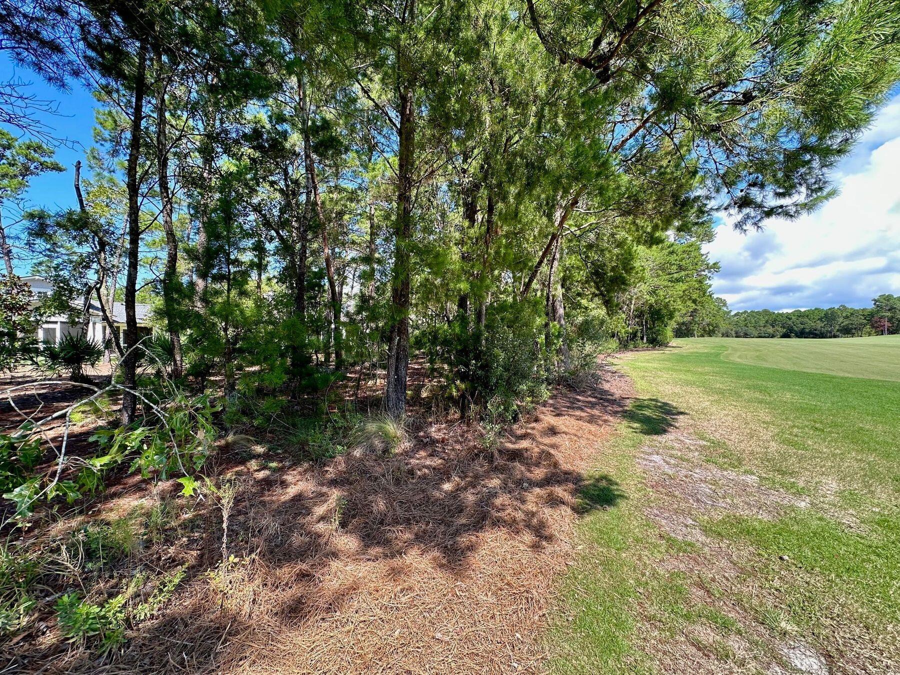 1612 Lost Cove Lane