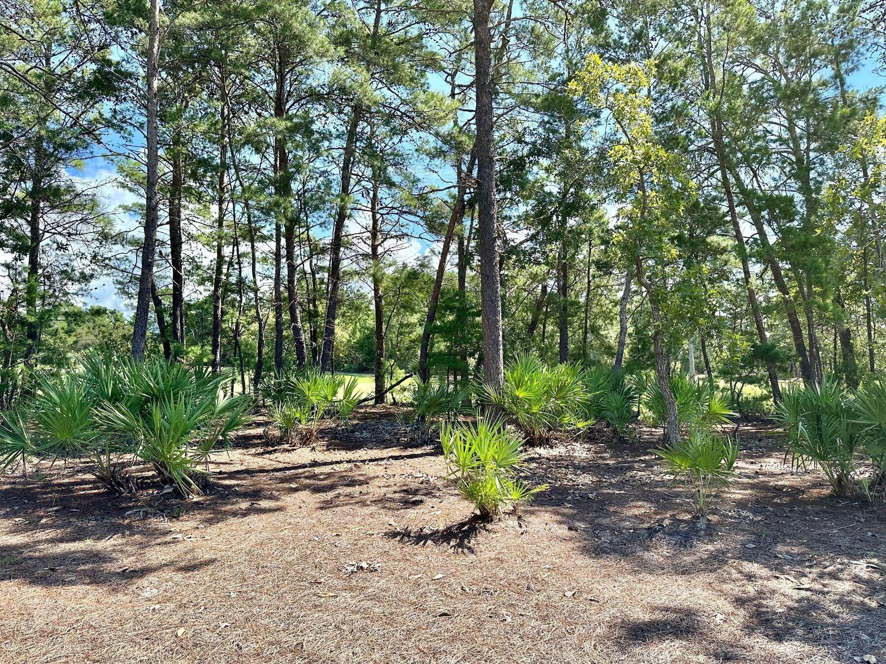 1612 Lost Cove Lane