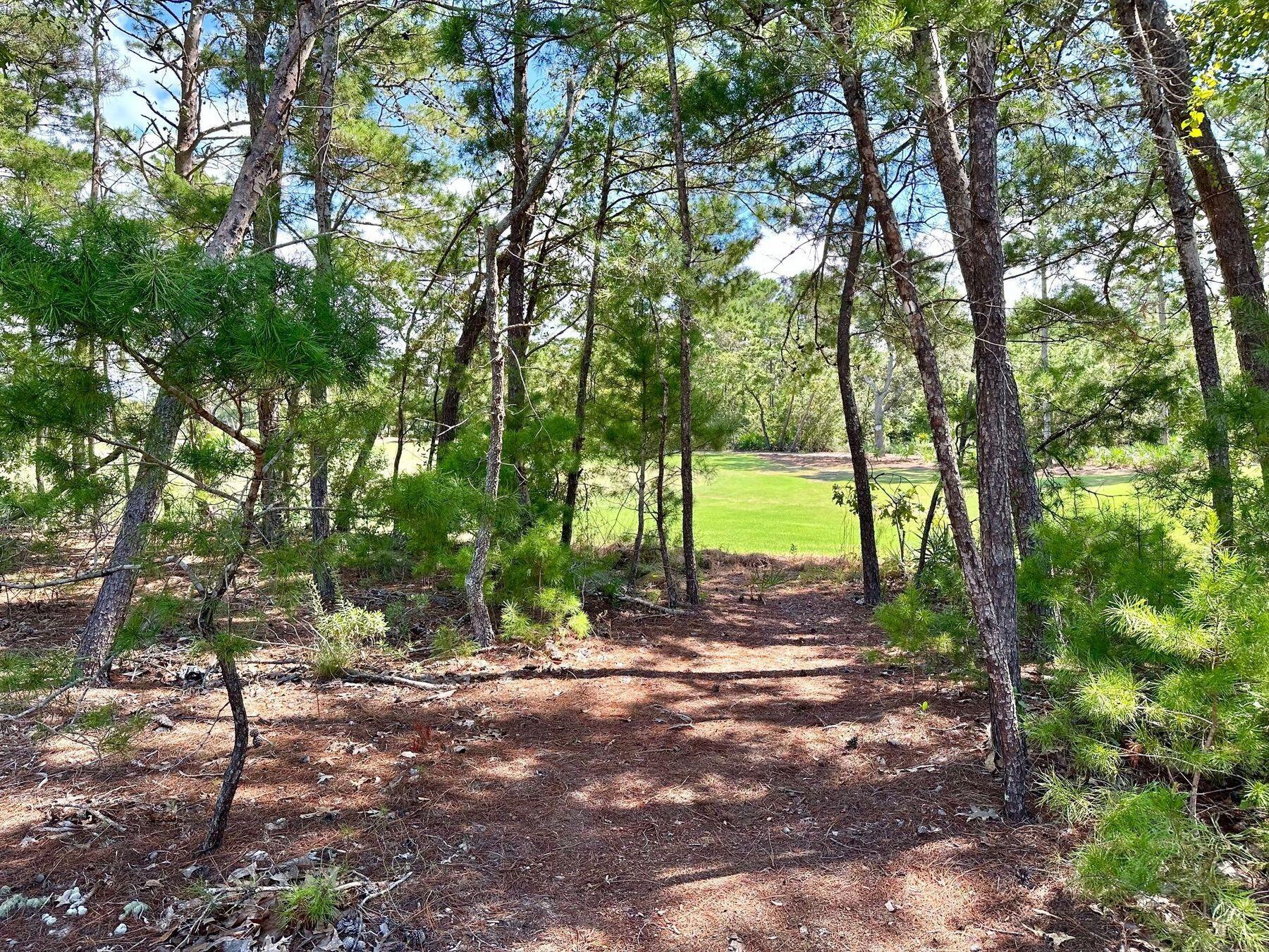 1612 Lost Cove Lane
