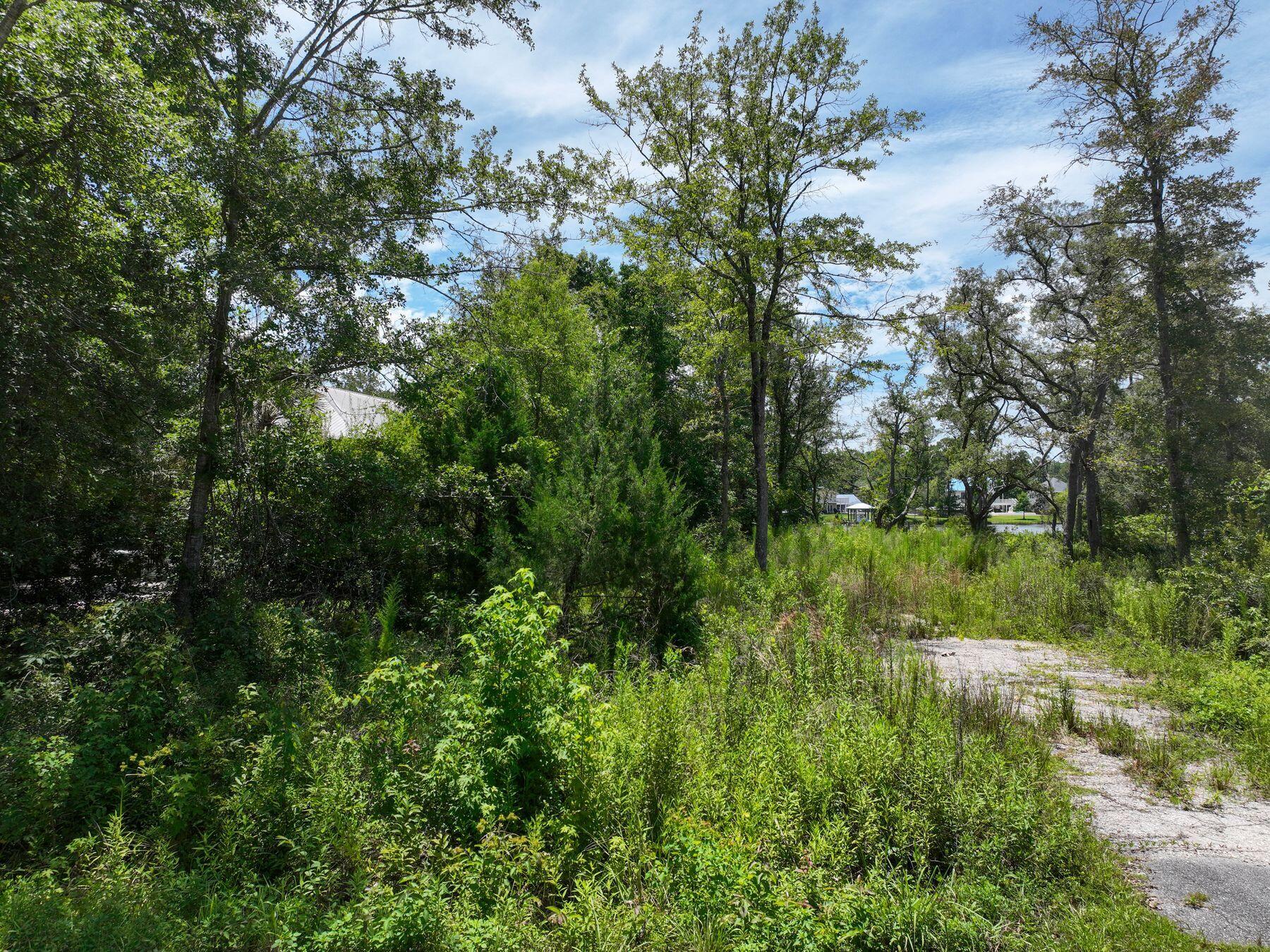 Lot 4 E Bayou Forest Drive