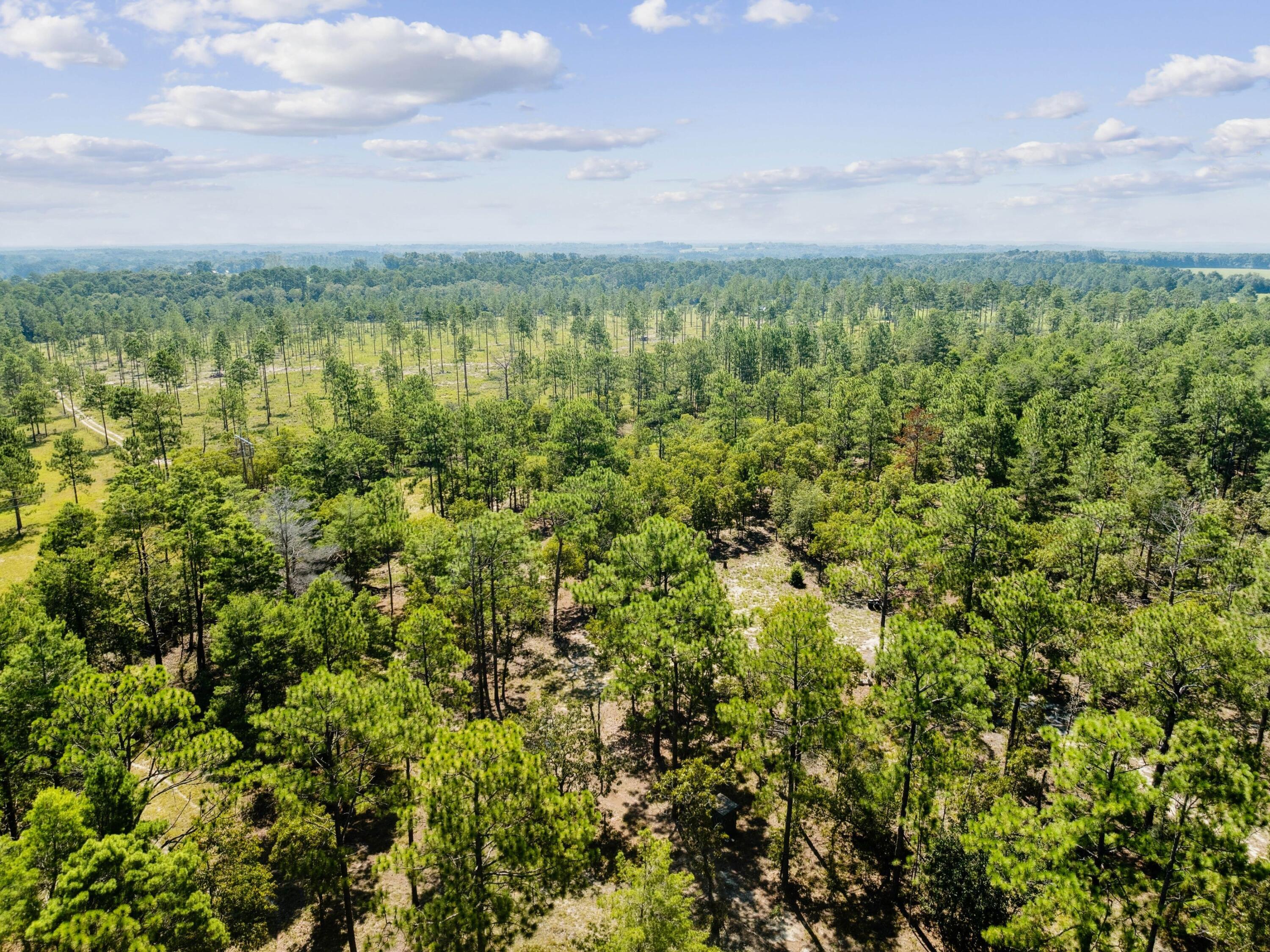 10 Acres White Dog Lane, DeFuniak Springs