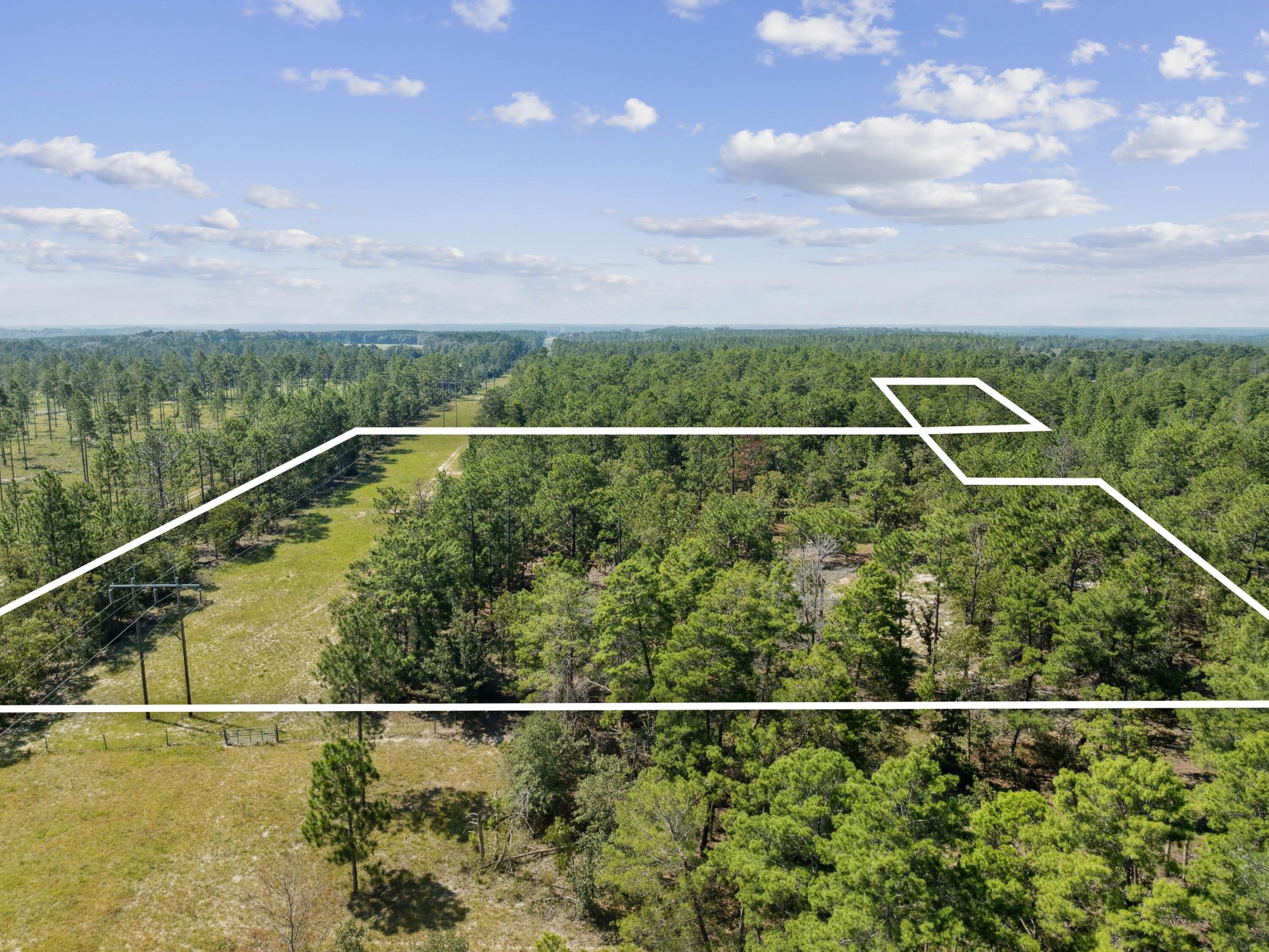 10 Acres White Dog Lane, DeFuniak Springs