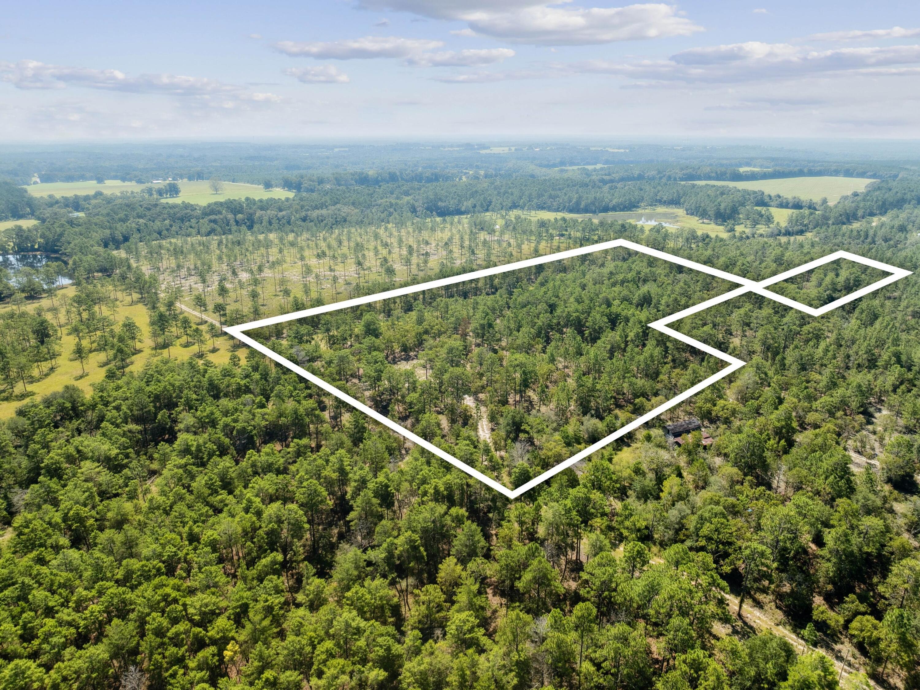10 Acres White Dog Lane, DeFuniak Springs