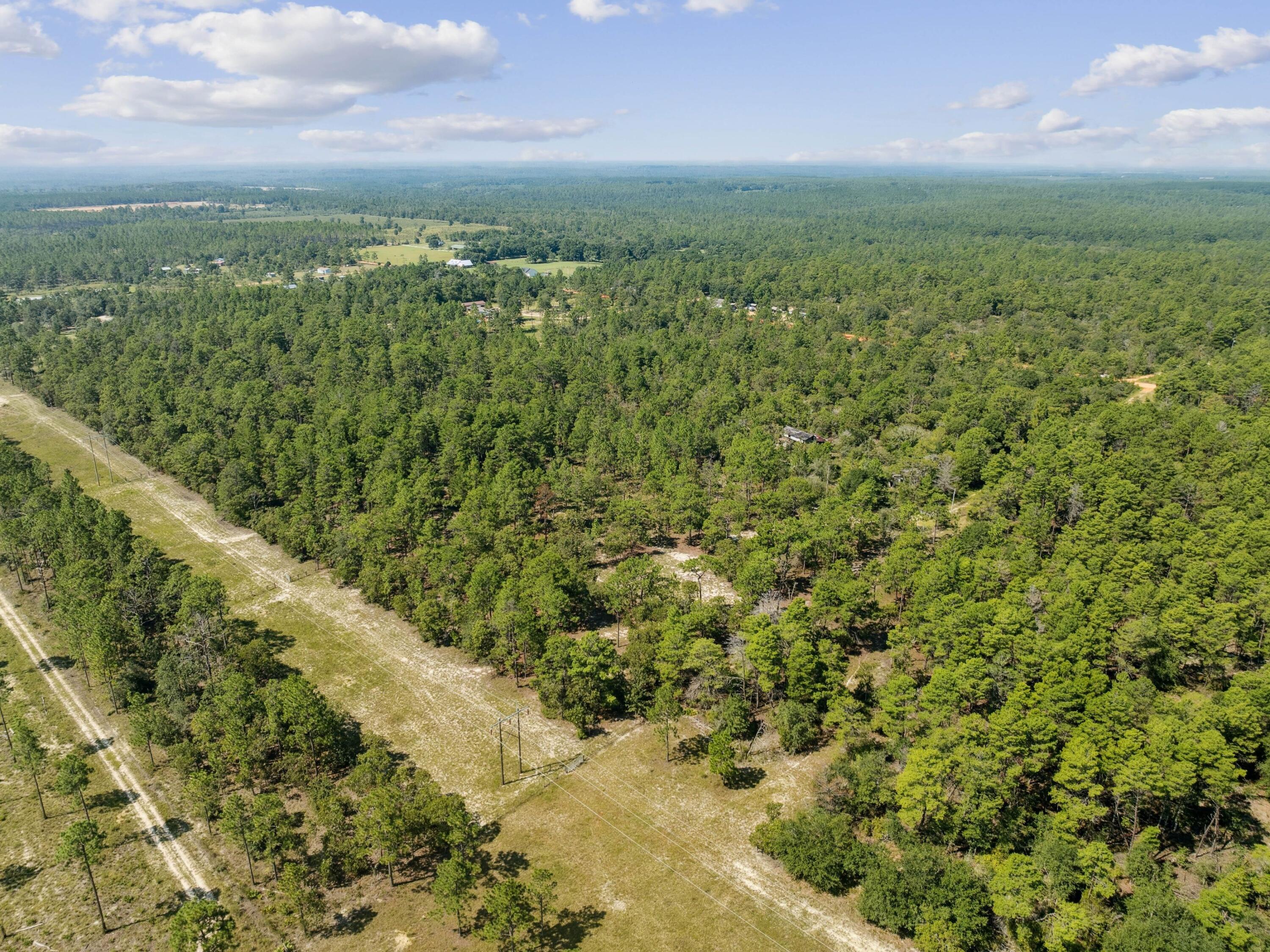 10 Acres White Dog Lane, DeFuniak Springs