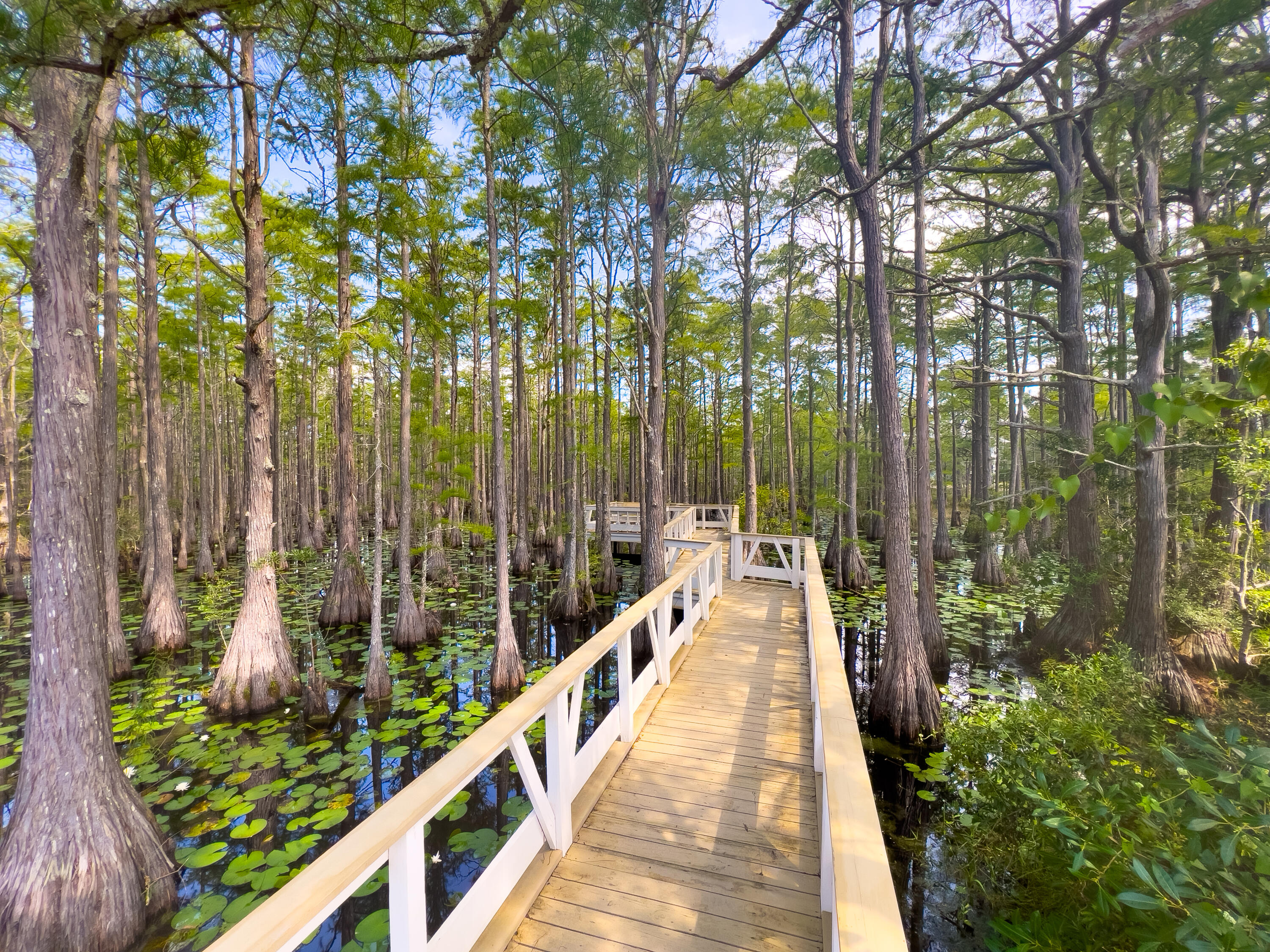 Lot 162 Gulf Walk