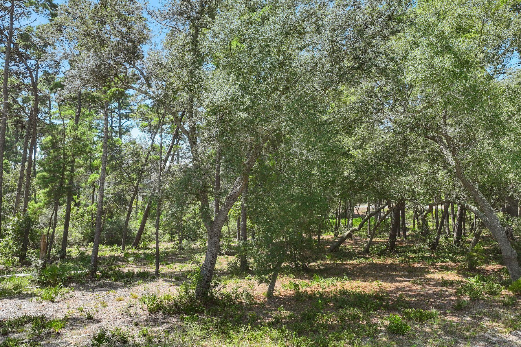 1403 Old Oak Trail