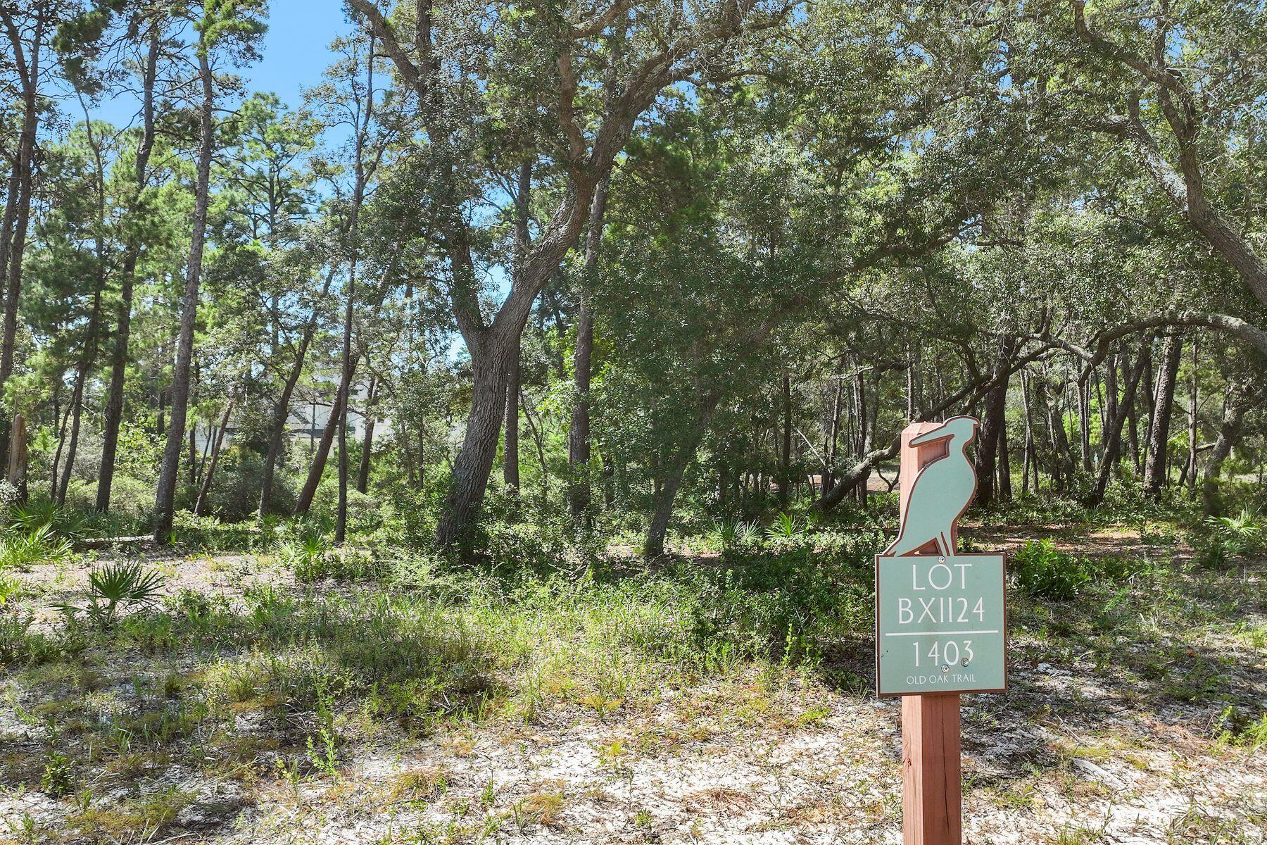 1403 Old Oak Trail
