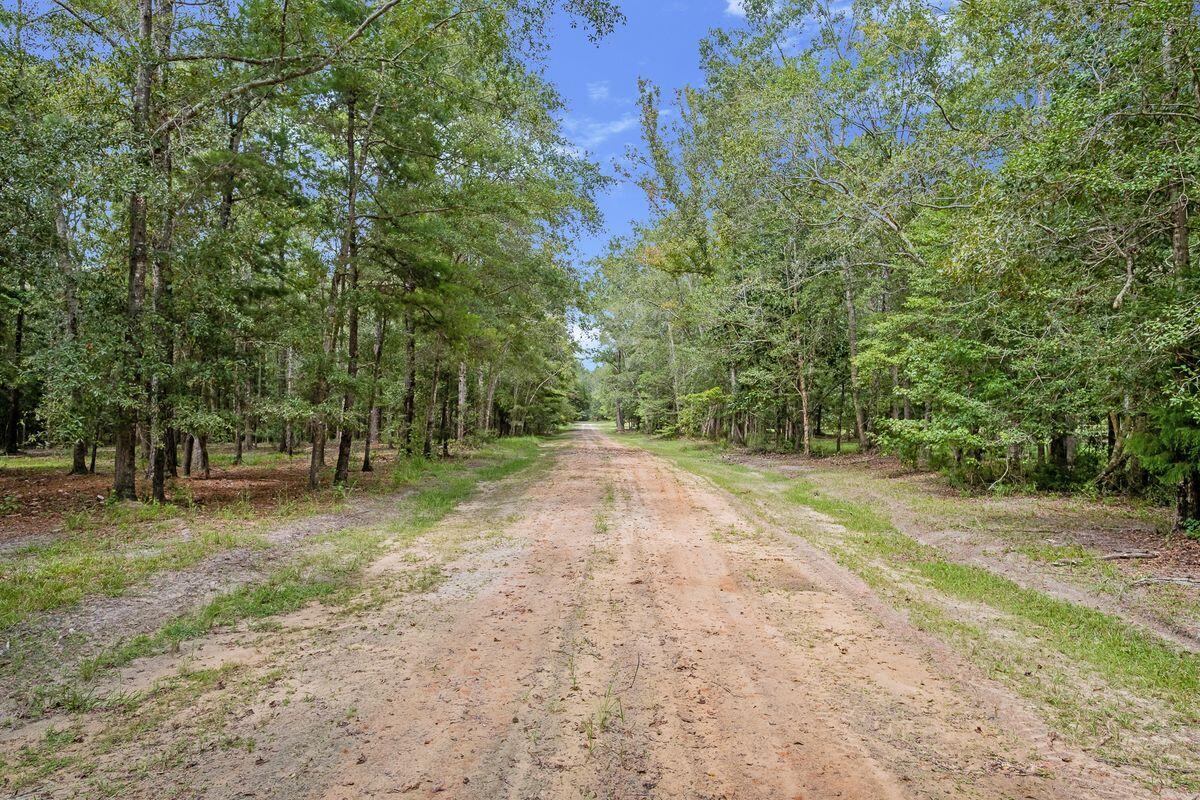 66 Sawmill Road
