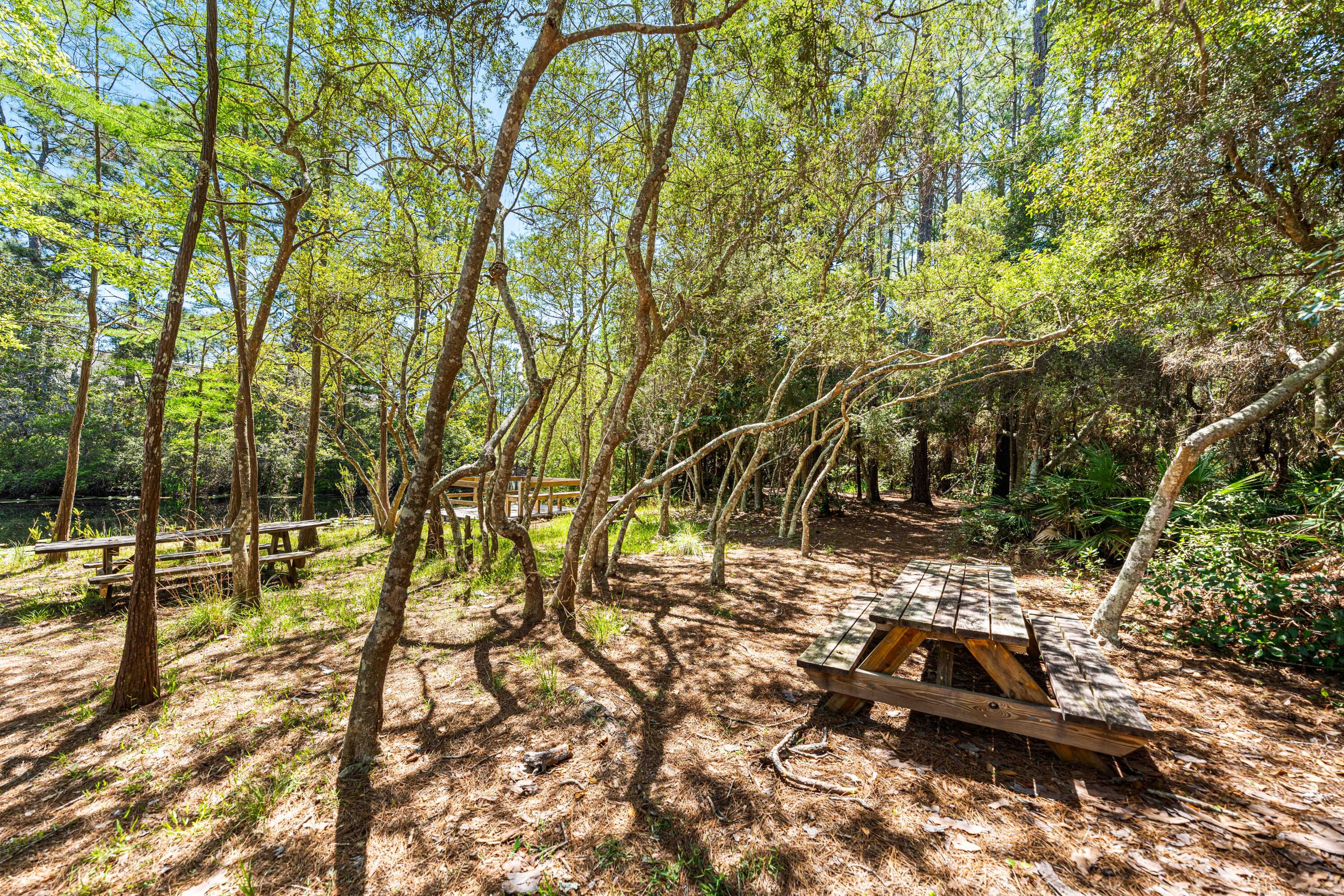 14 Cypress Street UNIT 184