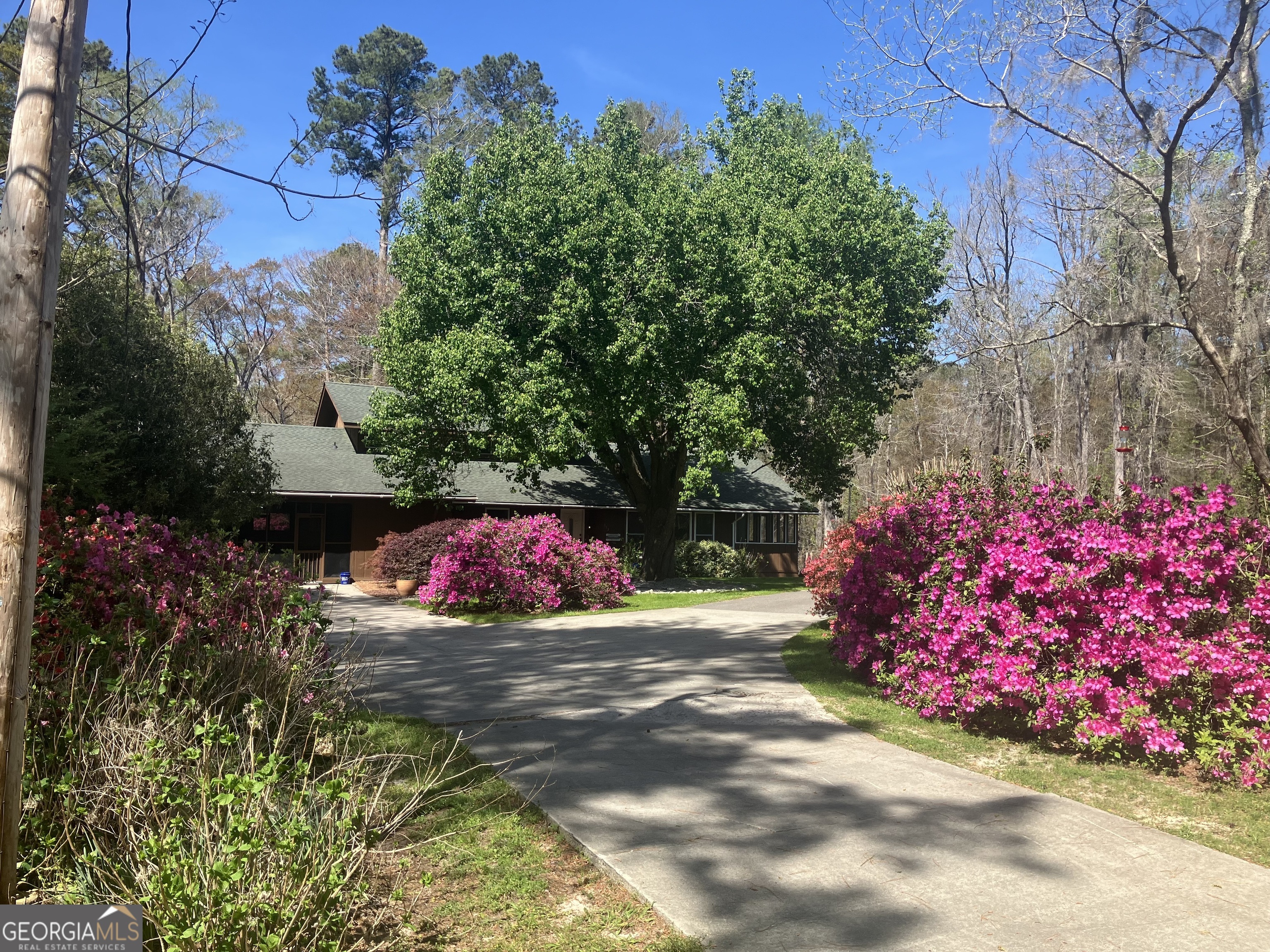 113 Flamingo Lane