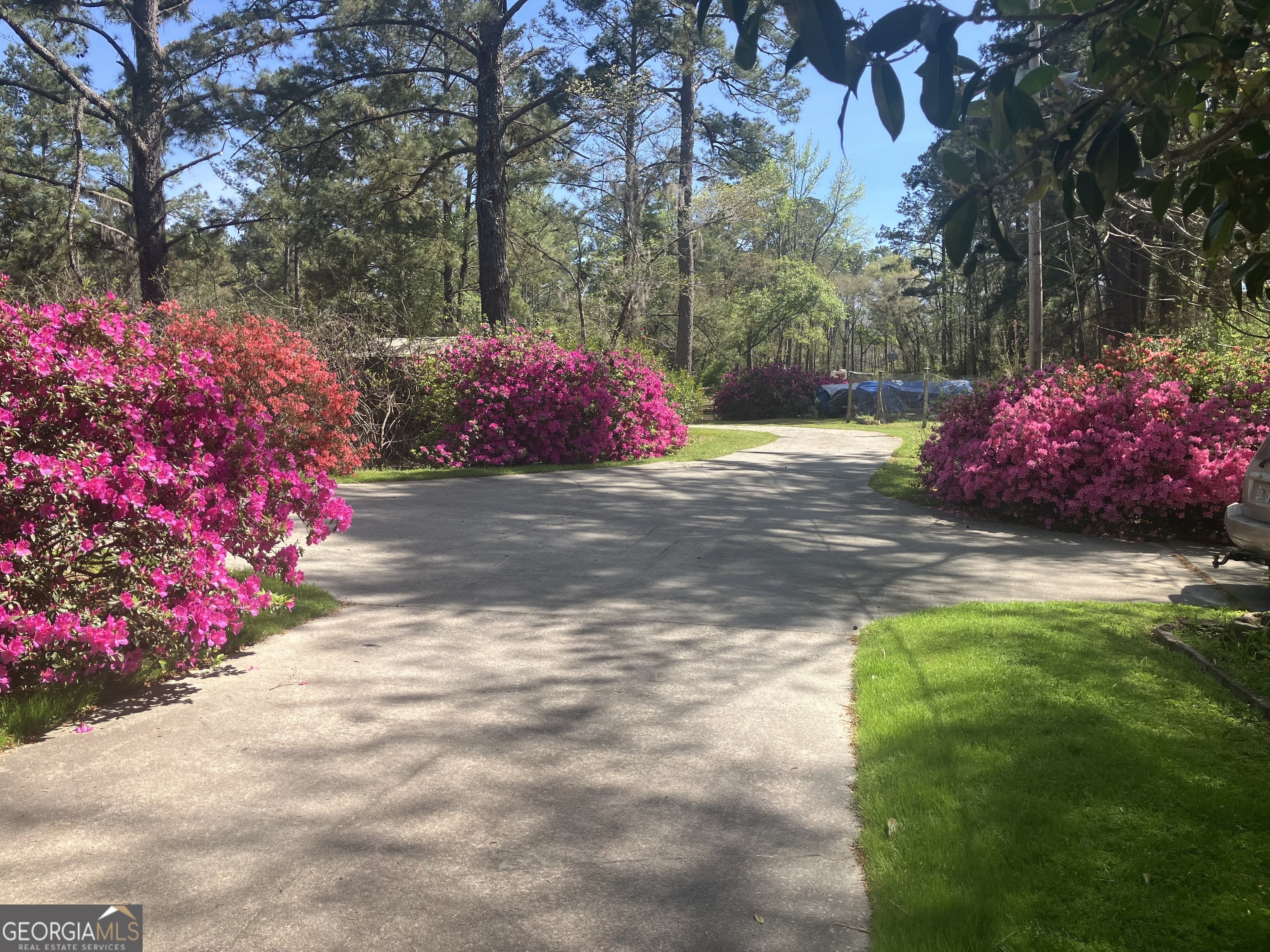 113 Flamingo Lane