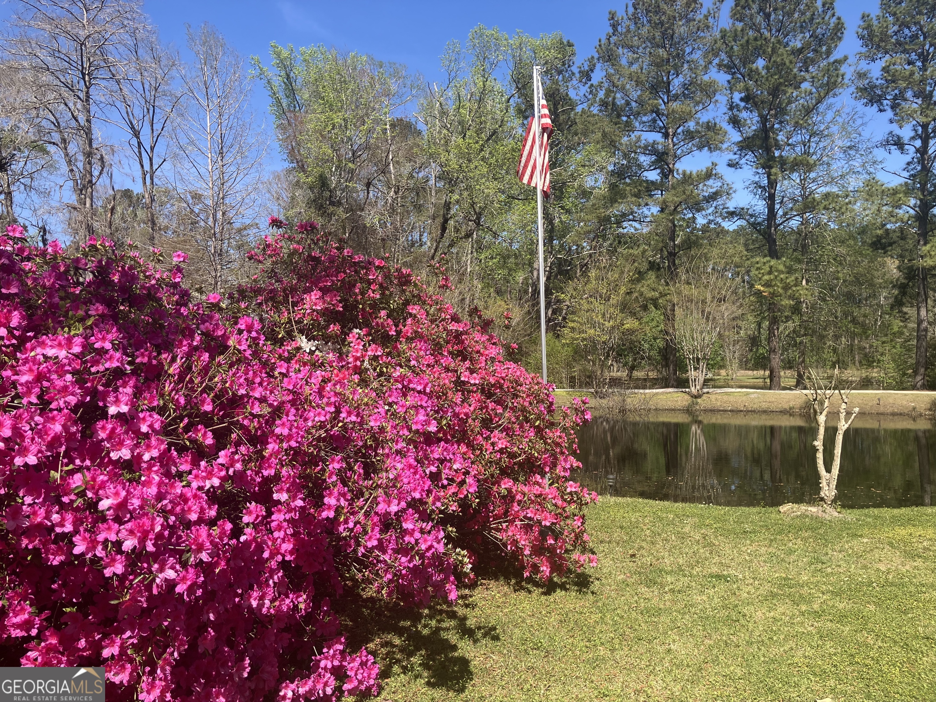113 Flamingo Lane