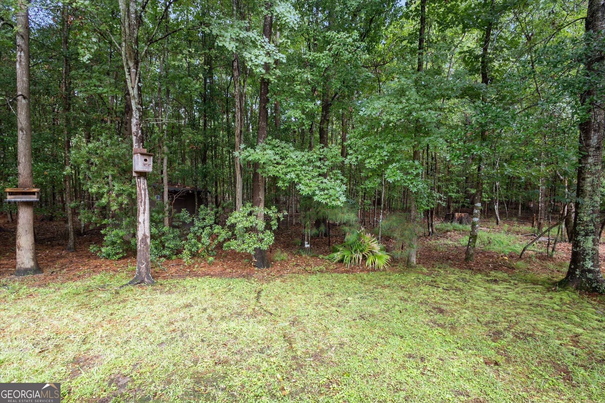 137 Fire Thorn Lane