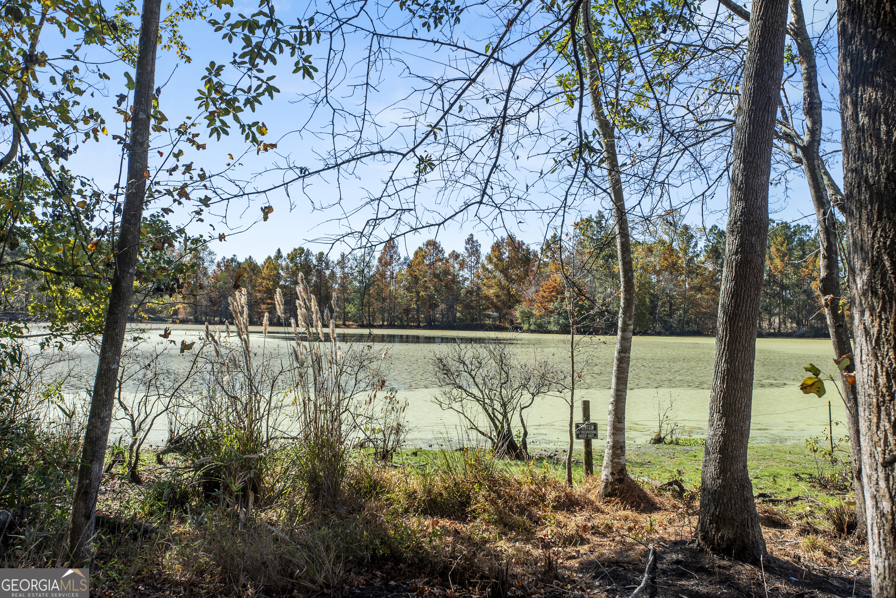 1238 Brooklet South Drive